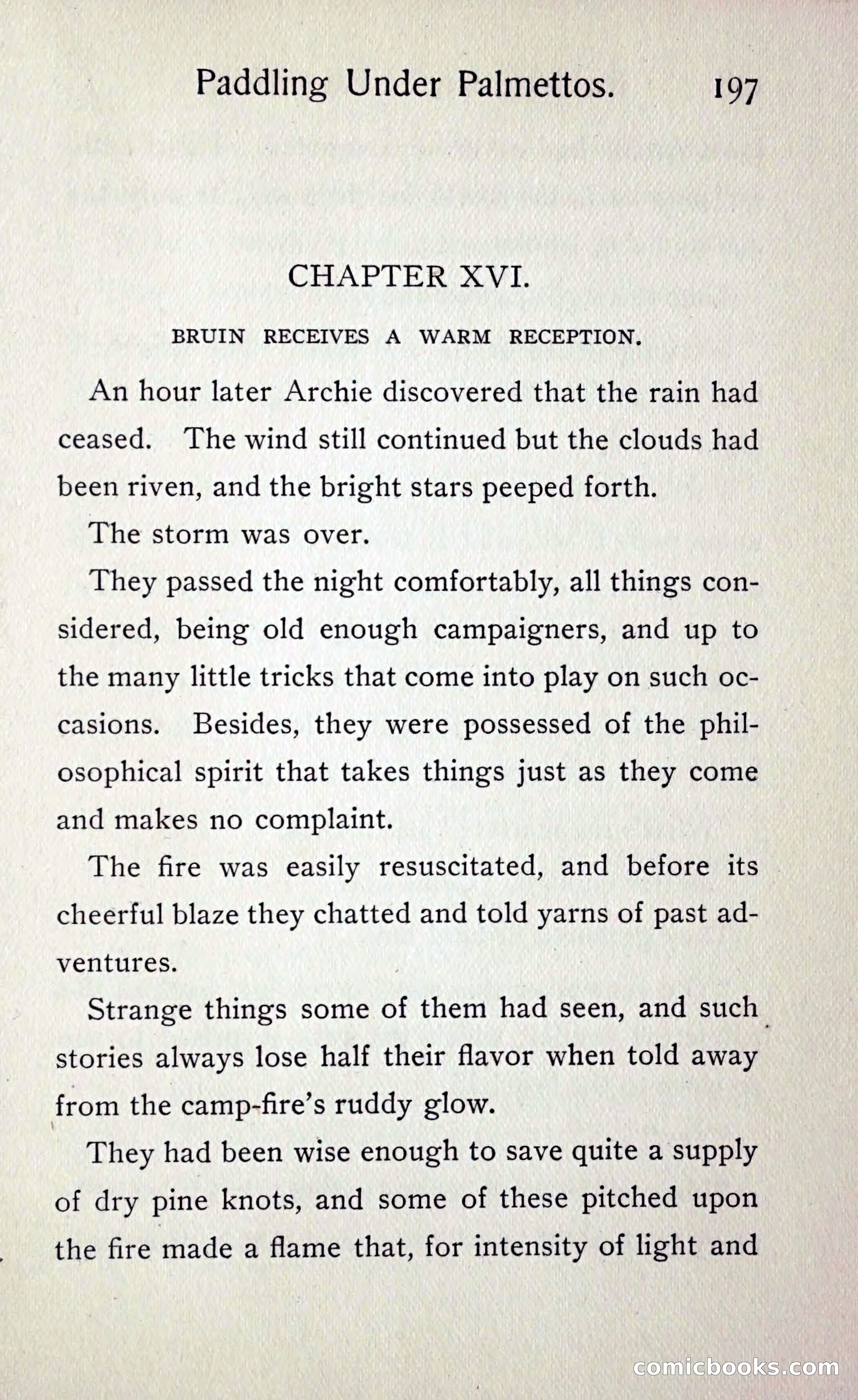 Paddling under Palmettos — page 204 of 299