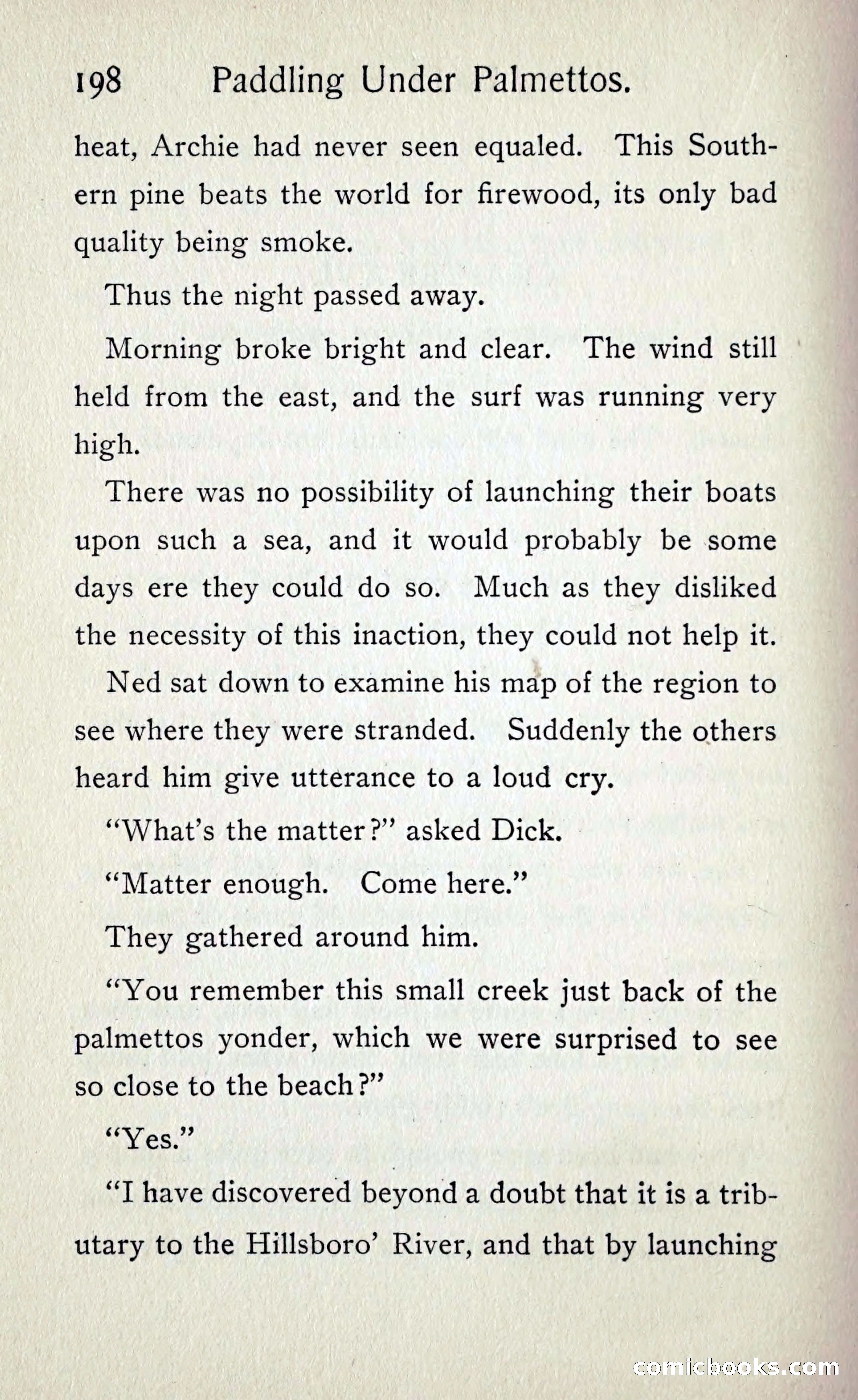 Paddling under Palmettos — page 205 of 299