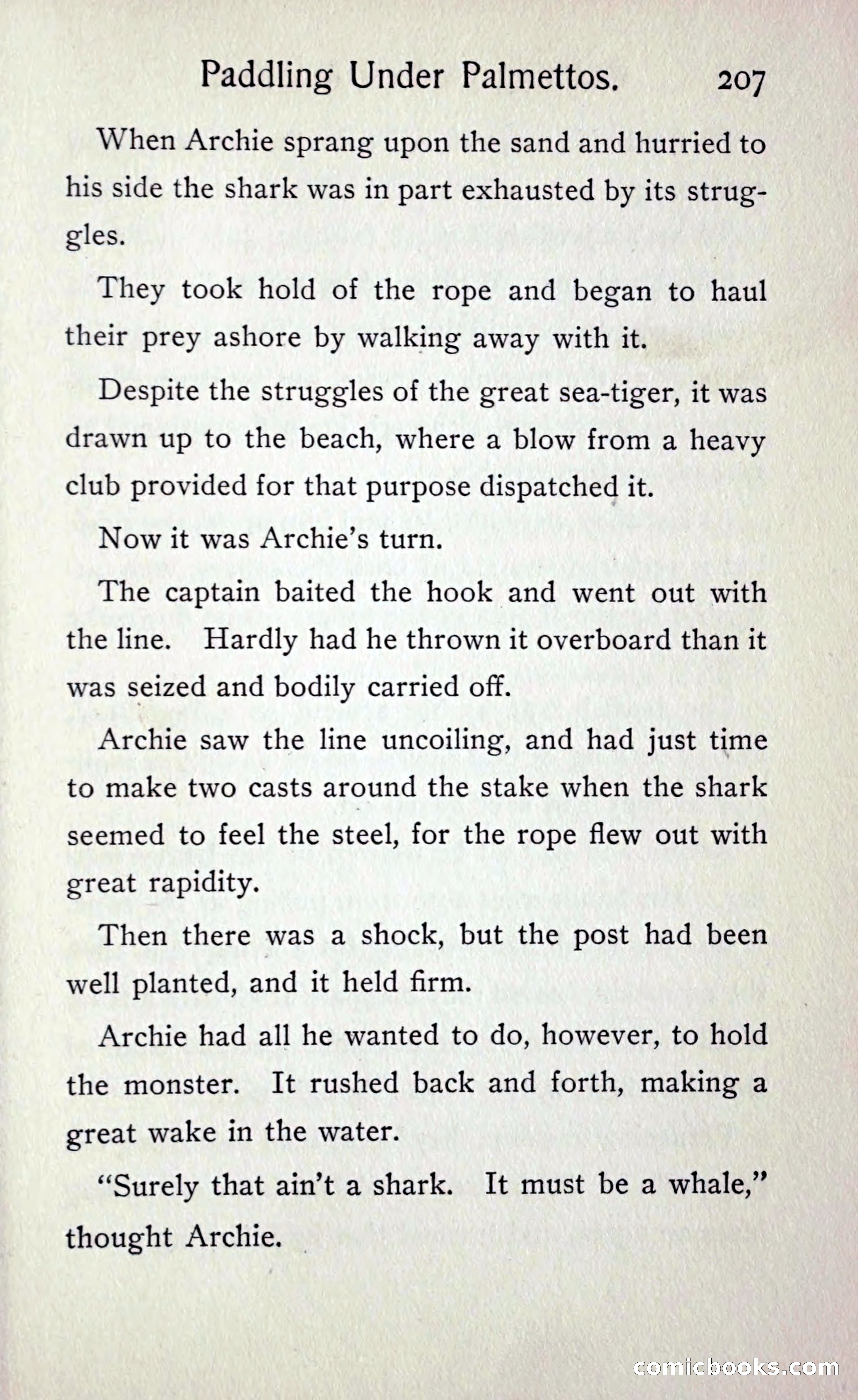 Paddling under Palmettos — page 214 of 299