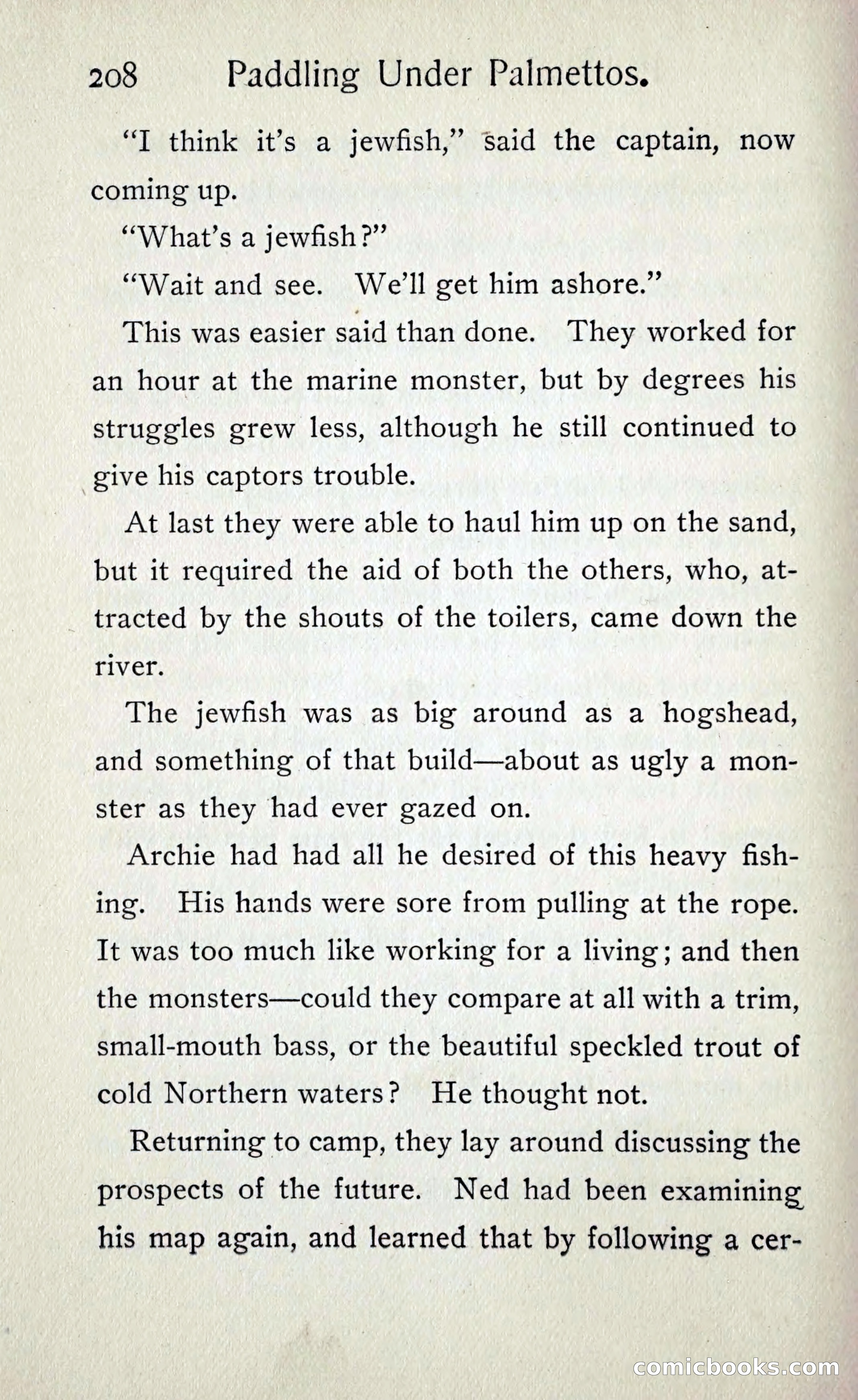 Paddling under Palmettos — page 215 of 299