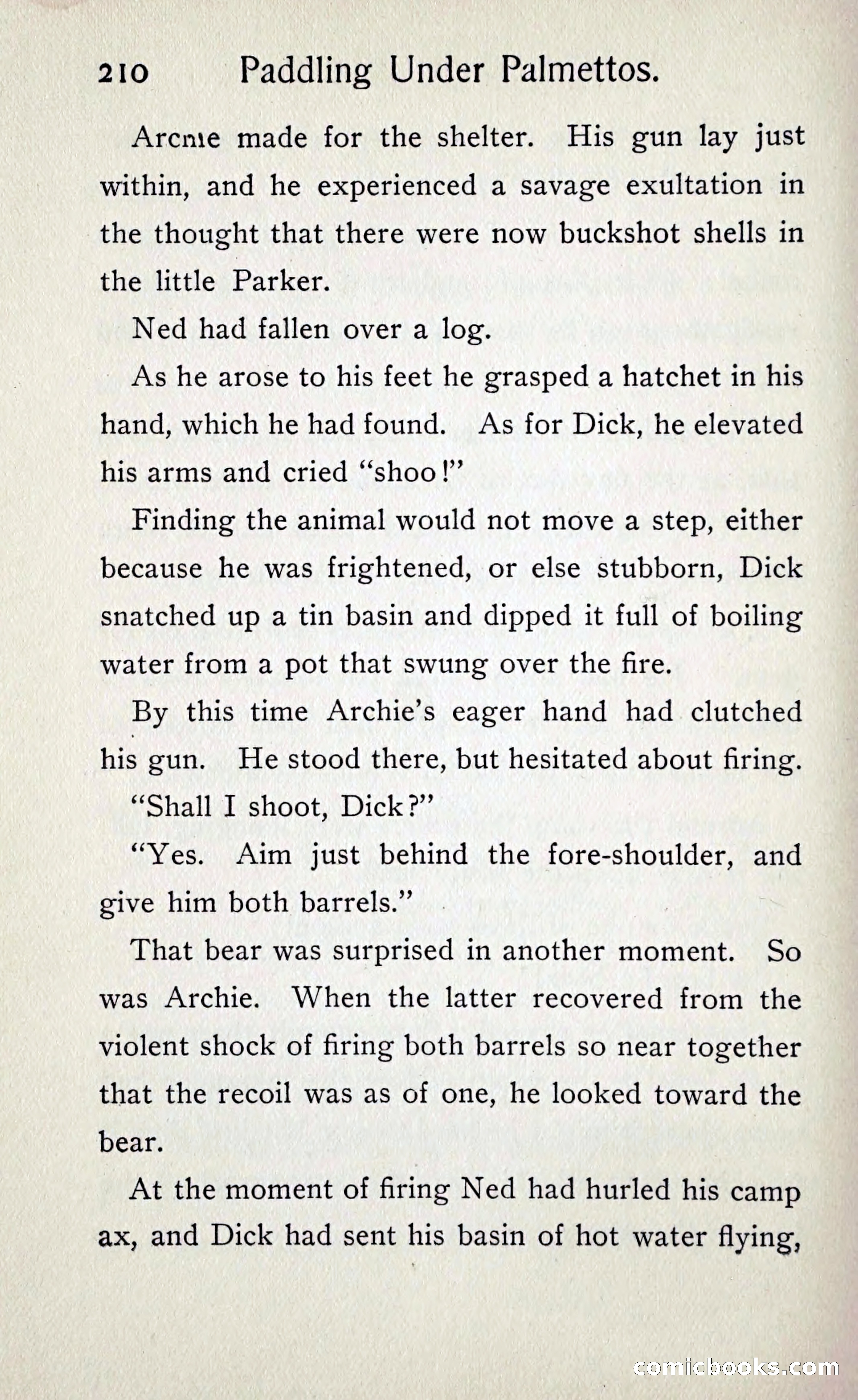 Paddling under Palmettos — page 217 of 299