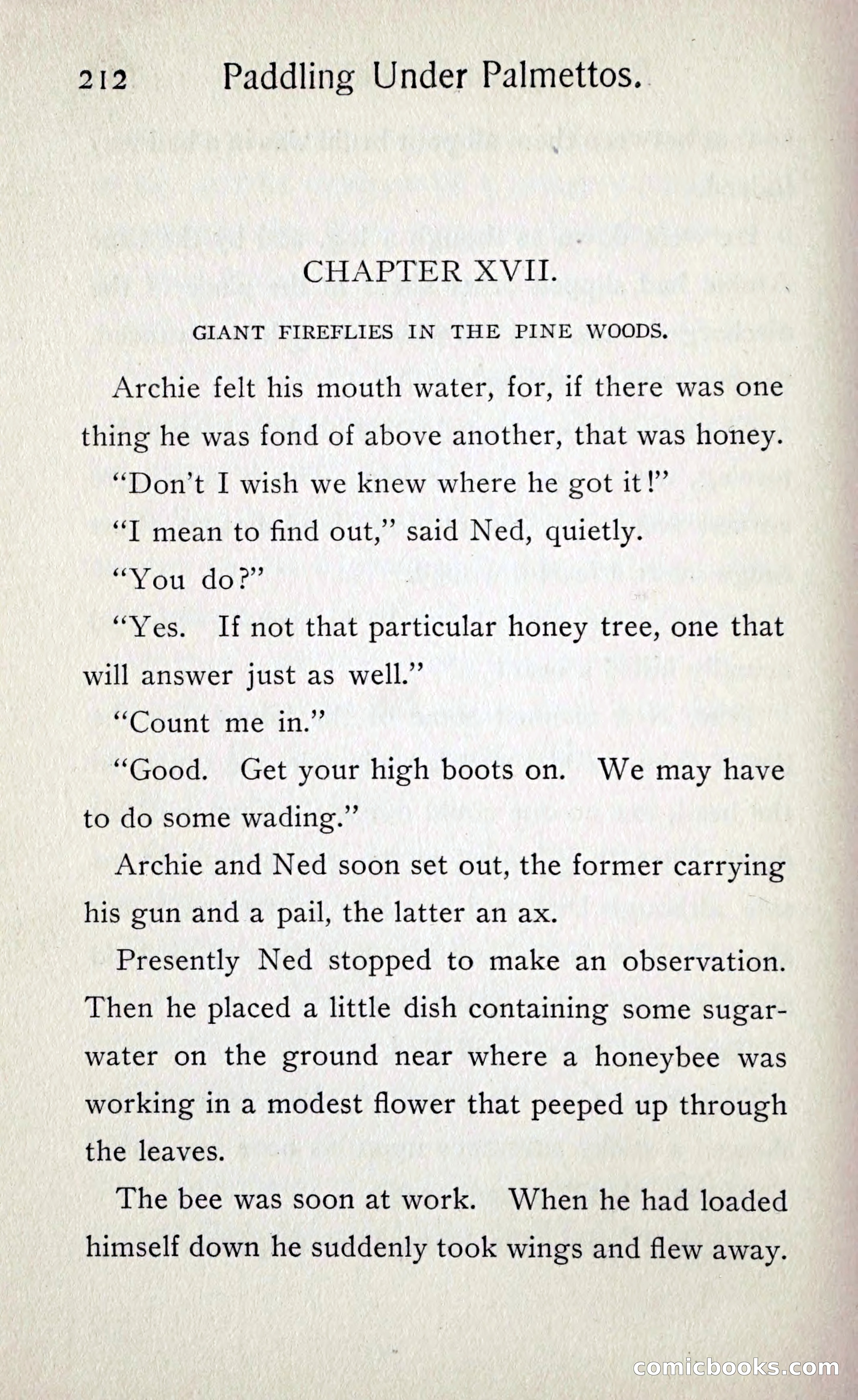 Paddling under Palmettos — page 219 of 299