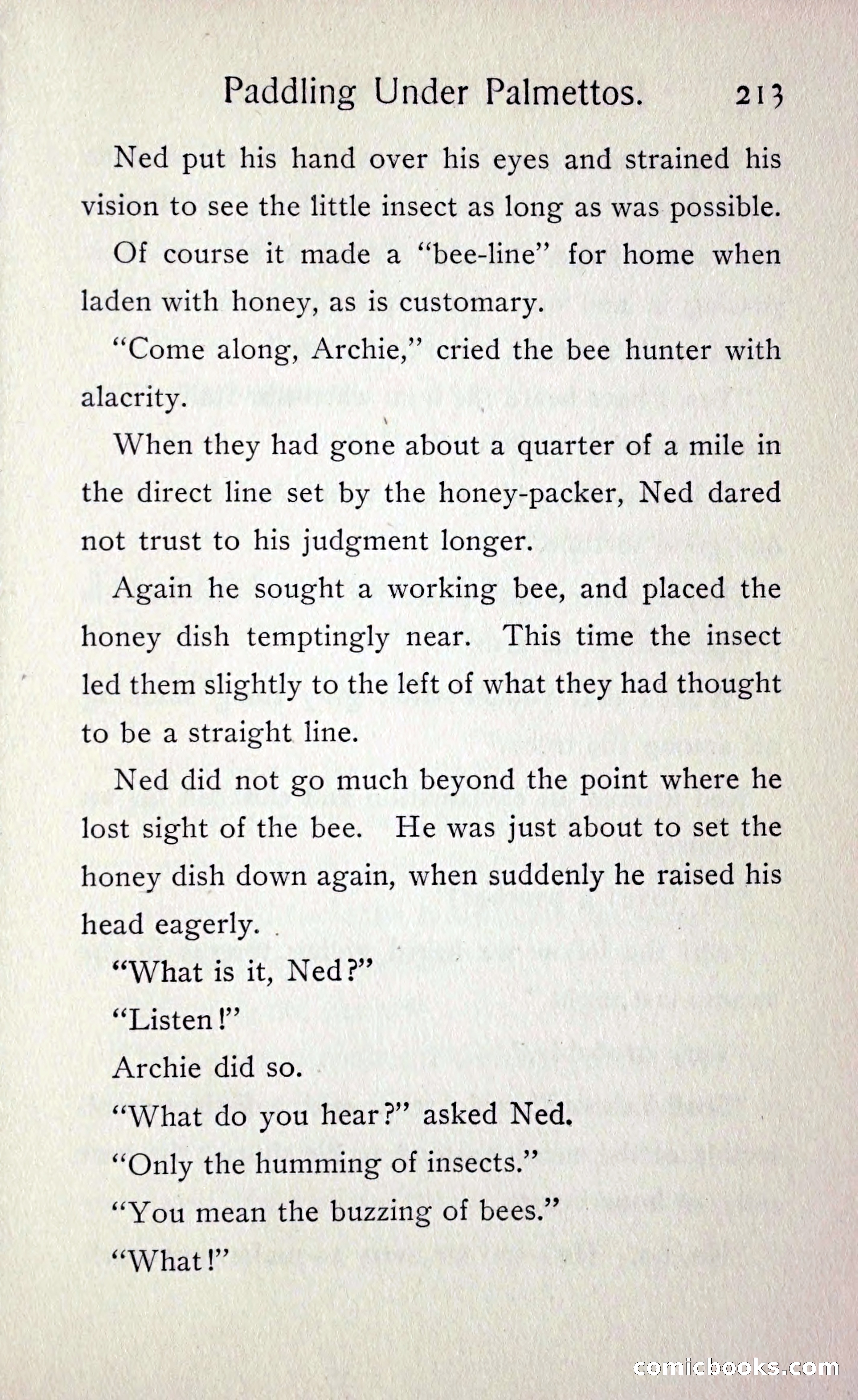 Paddling under Palmettos — page 220 of 299