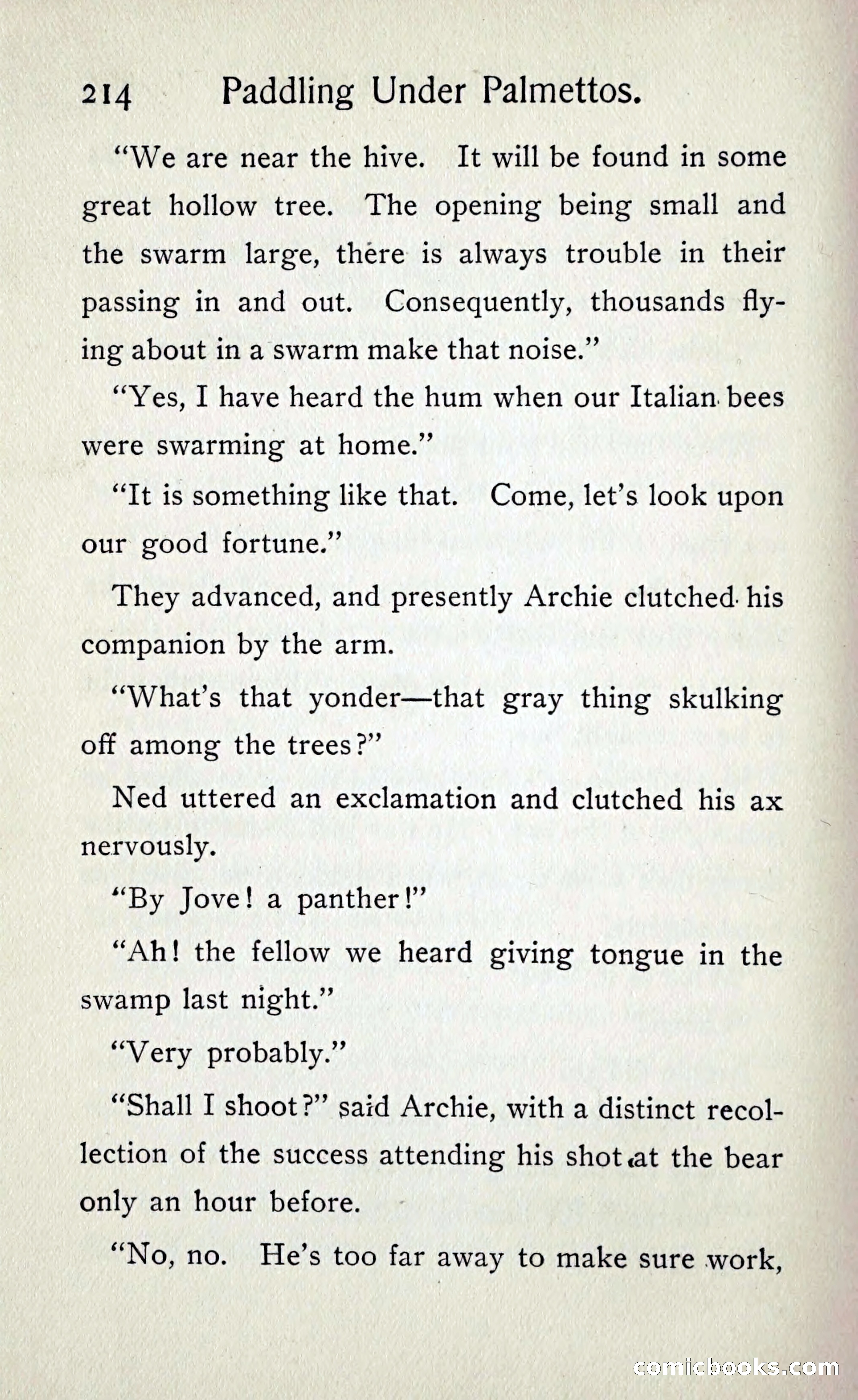 Paddling under Palmettos — page 221 of 299