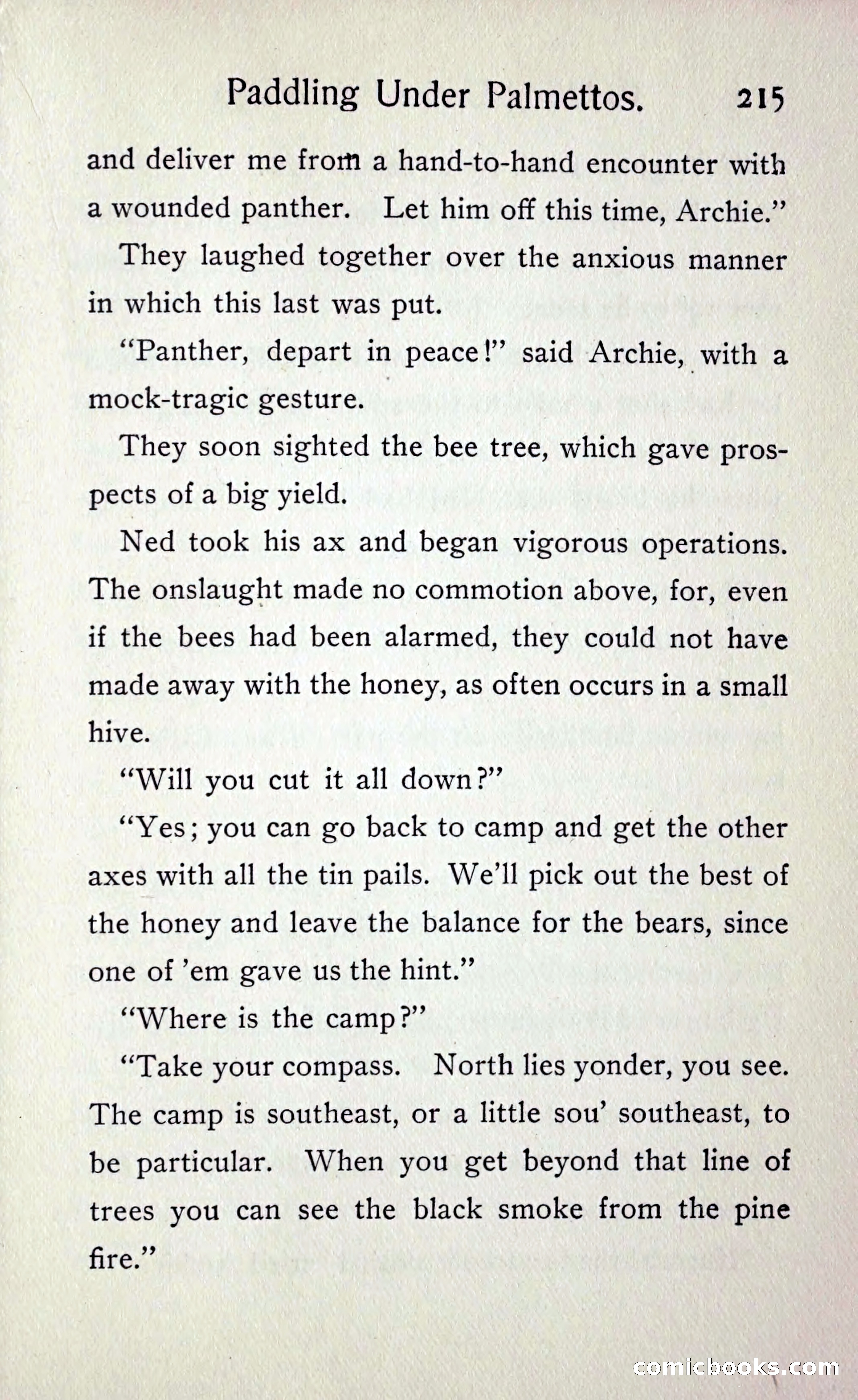 Paddling under Palmettos — page 222 of 299