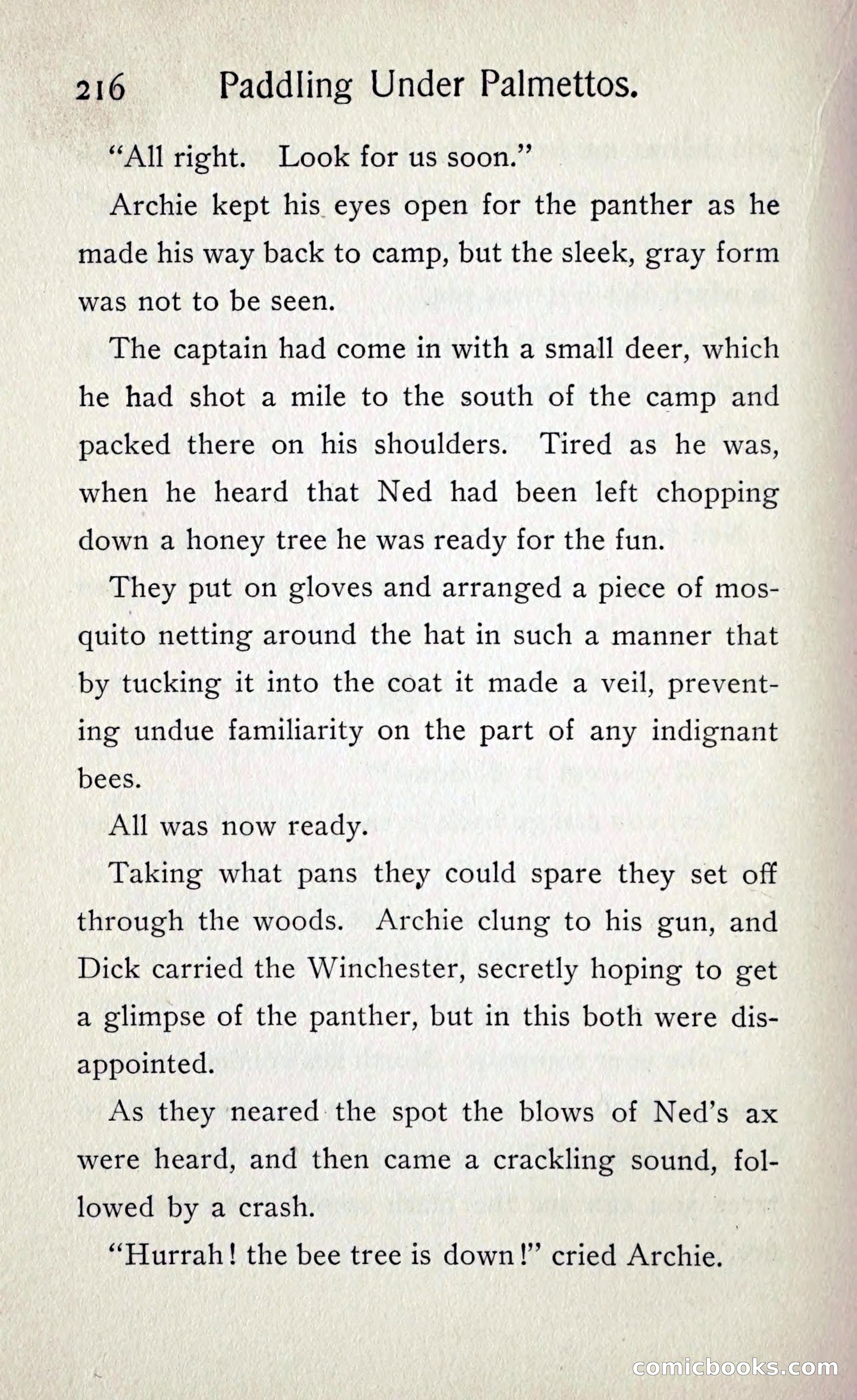 Paddling under Palmettos — page 223 of 299