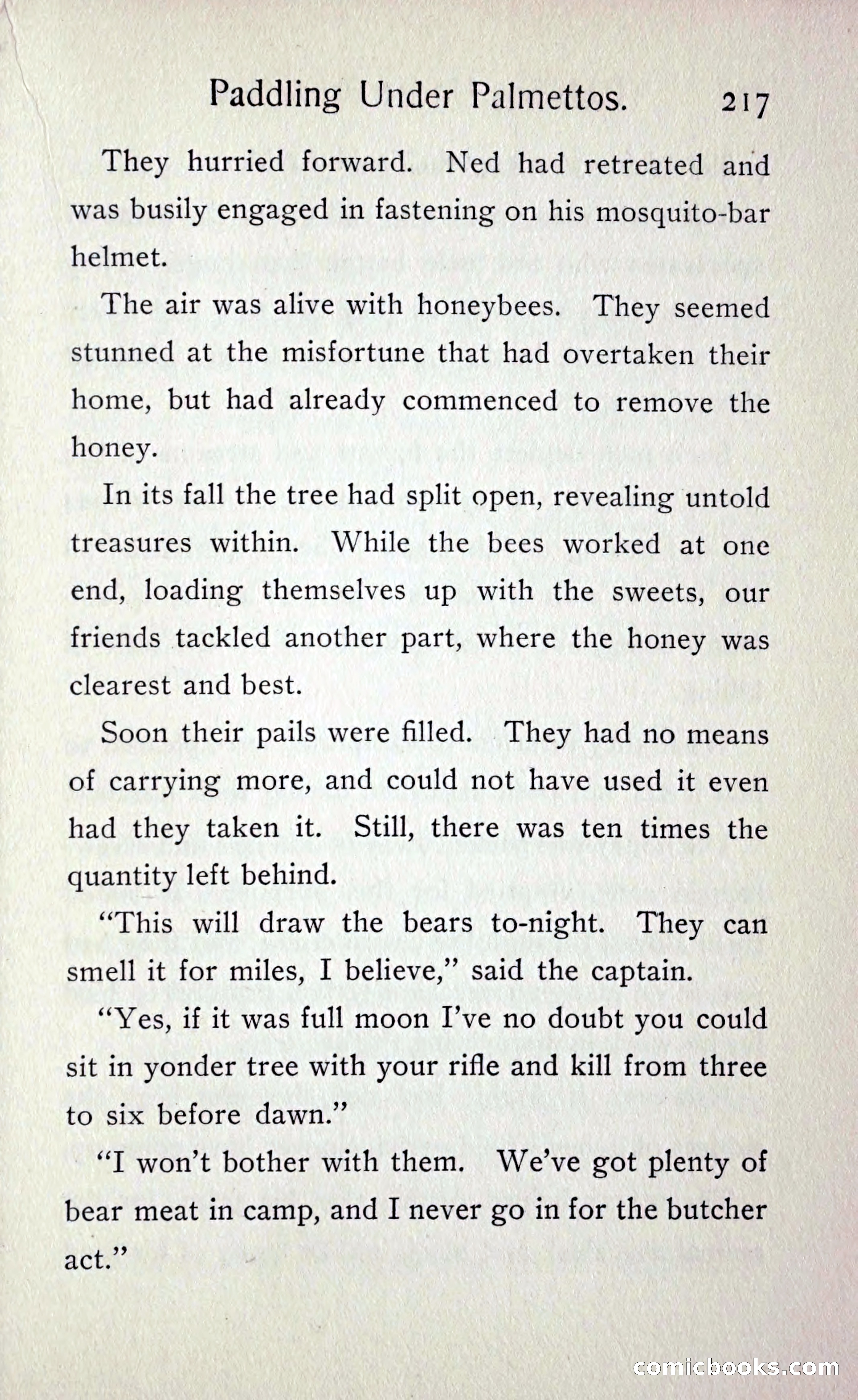 Paddling under Palmettos — page 224 of 299