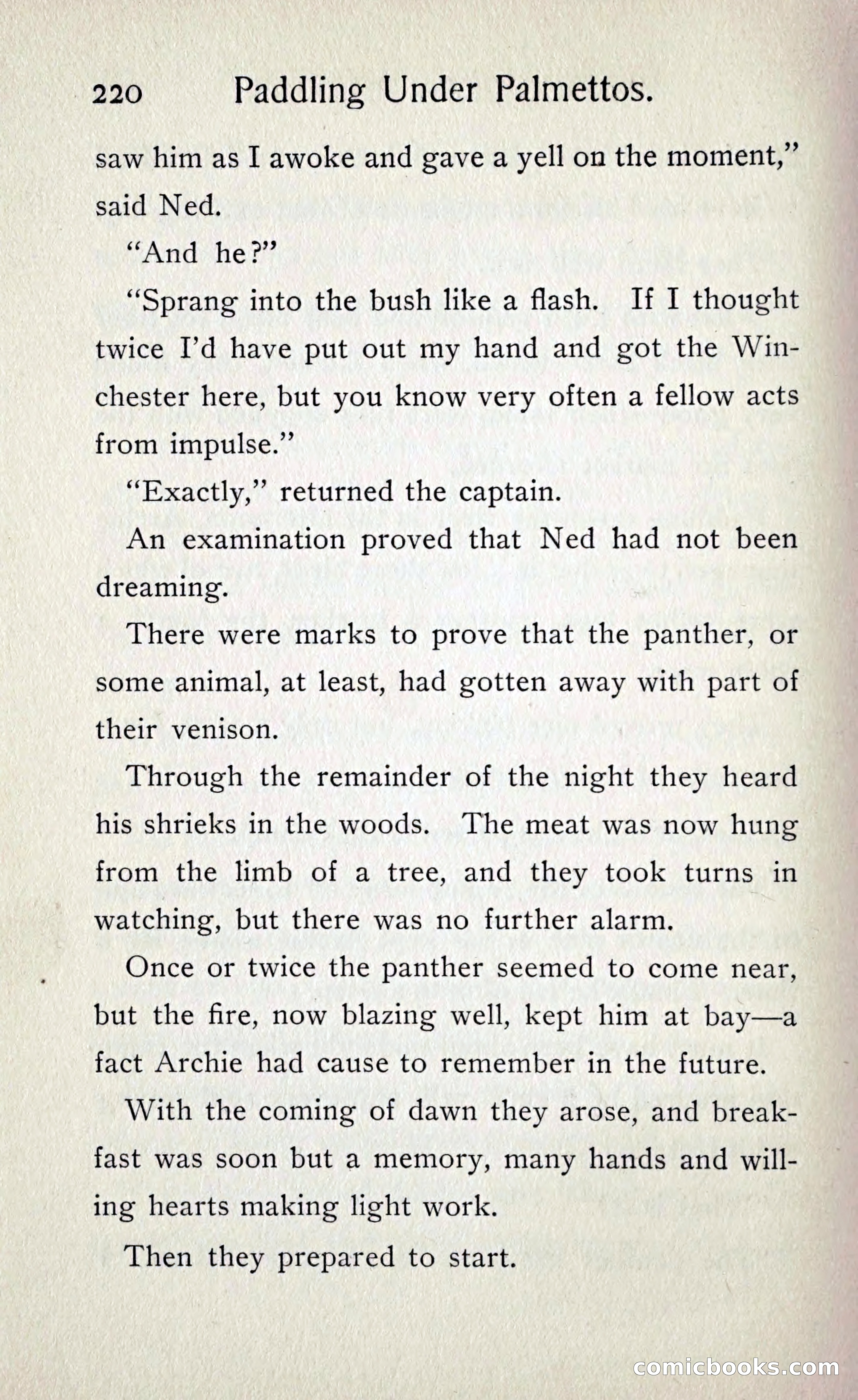 Paddling under Palmettos — page 227 of 299