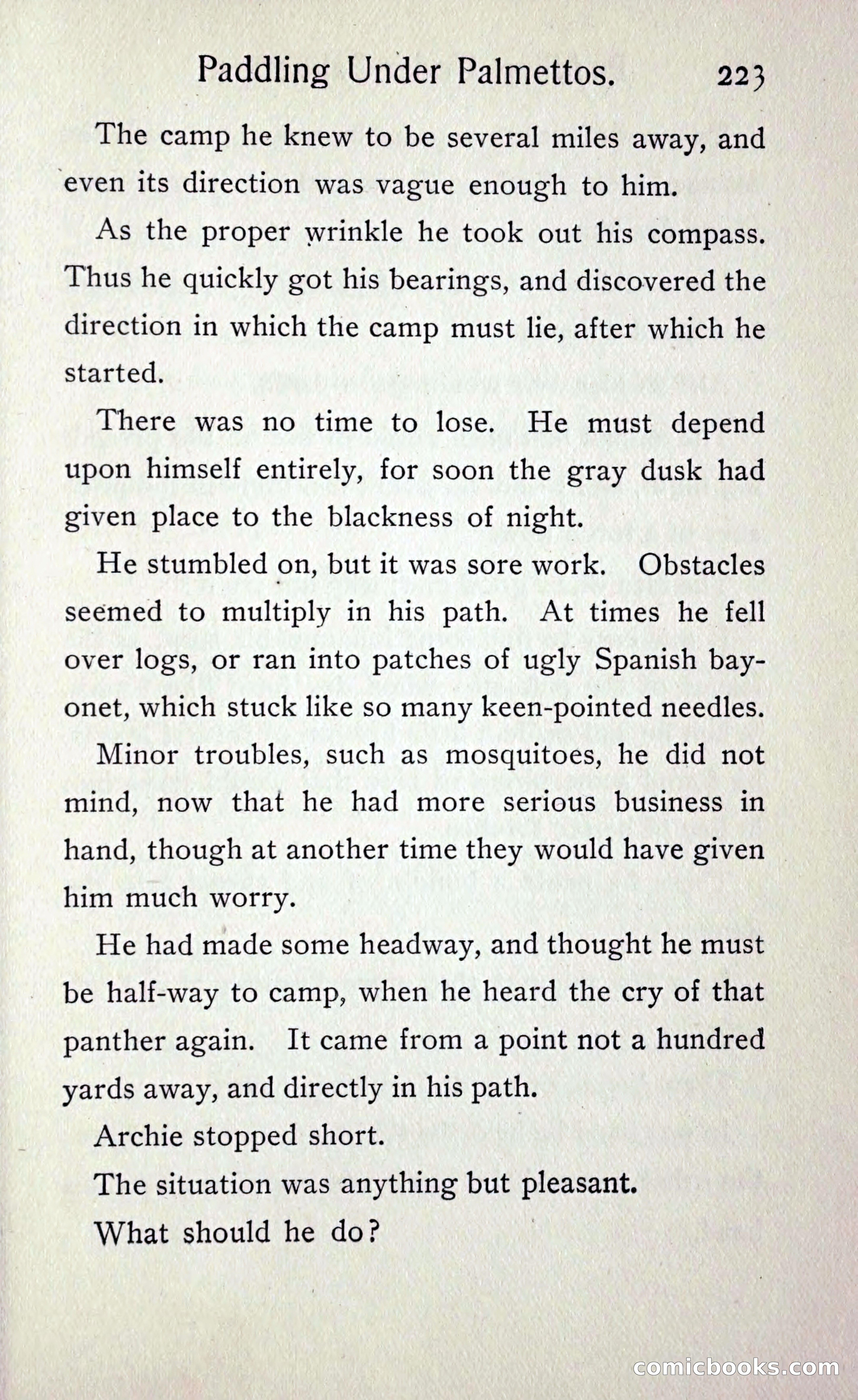Paddling under Palmettos — page 230 of 299
