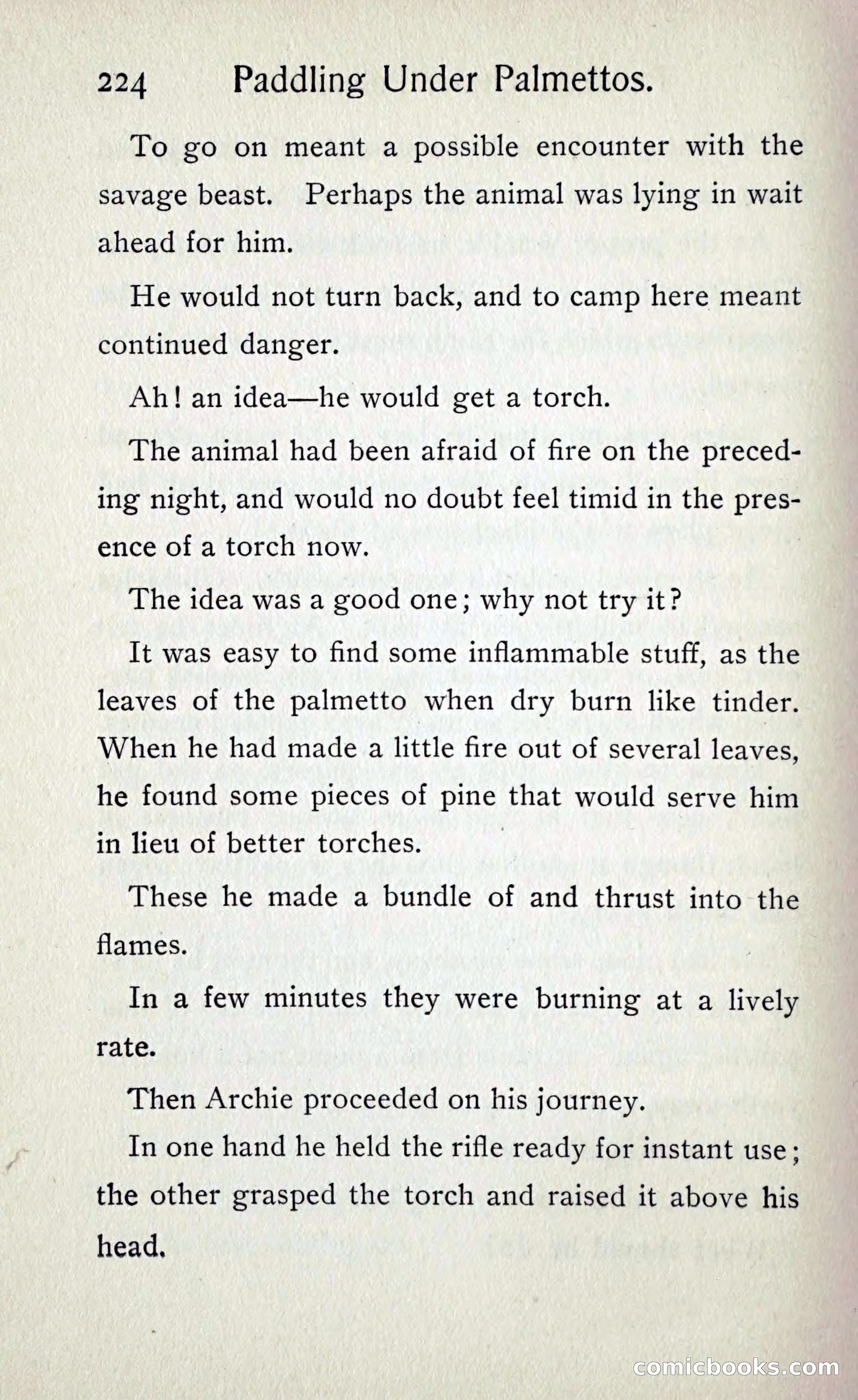 Paddling under Palmettos — page 231 of 299