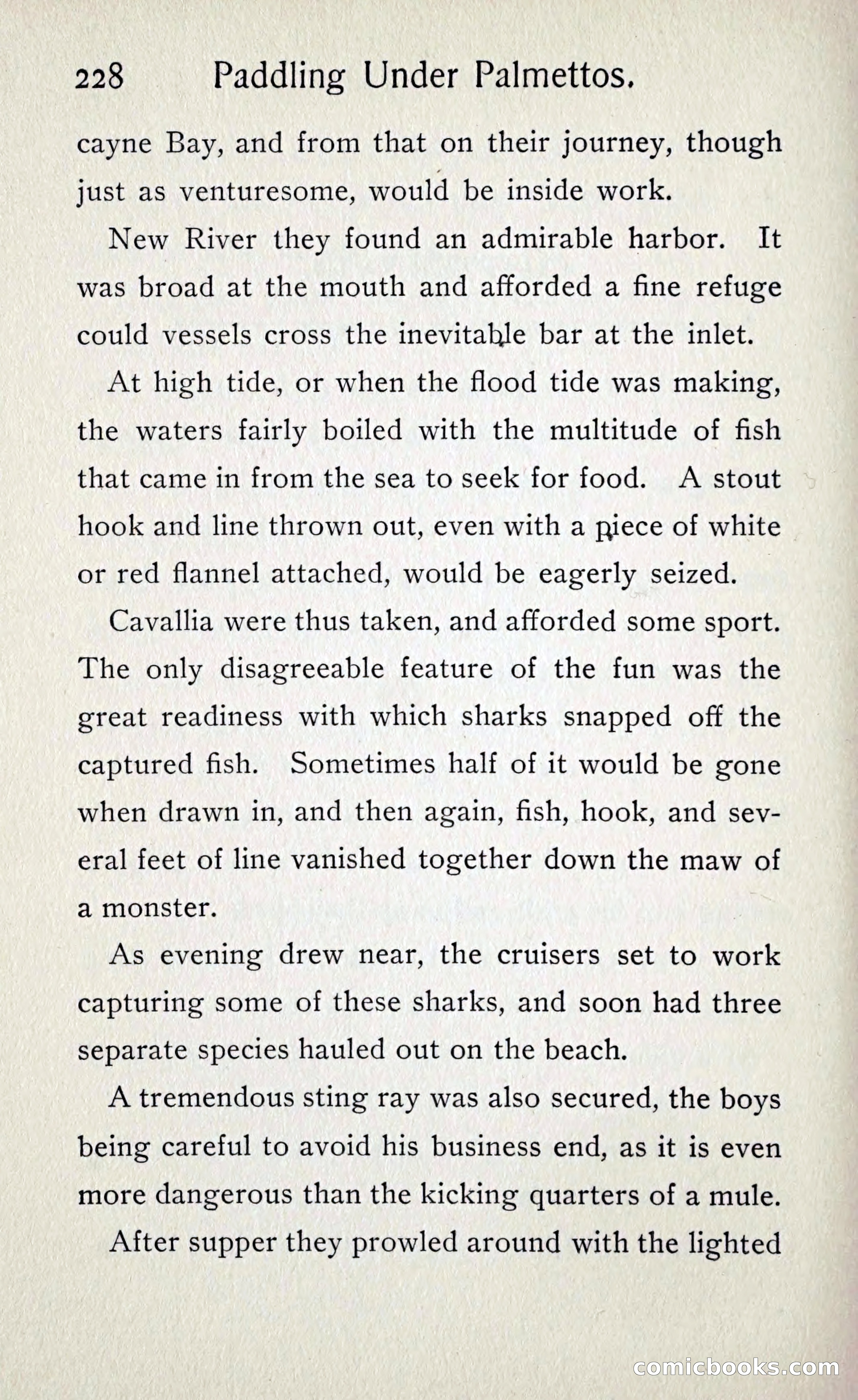 Paddling under Palmettos — page 235 of 299
