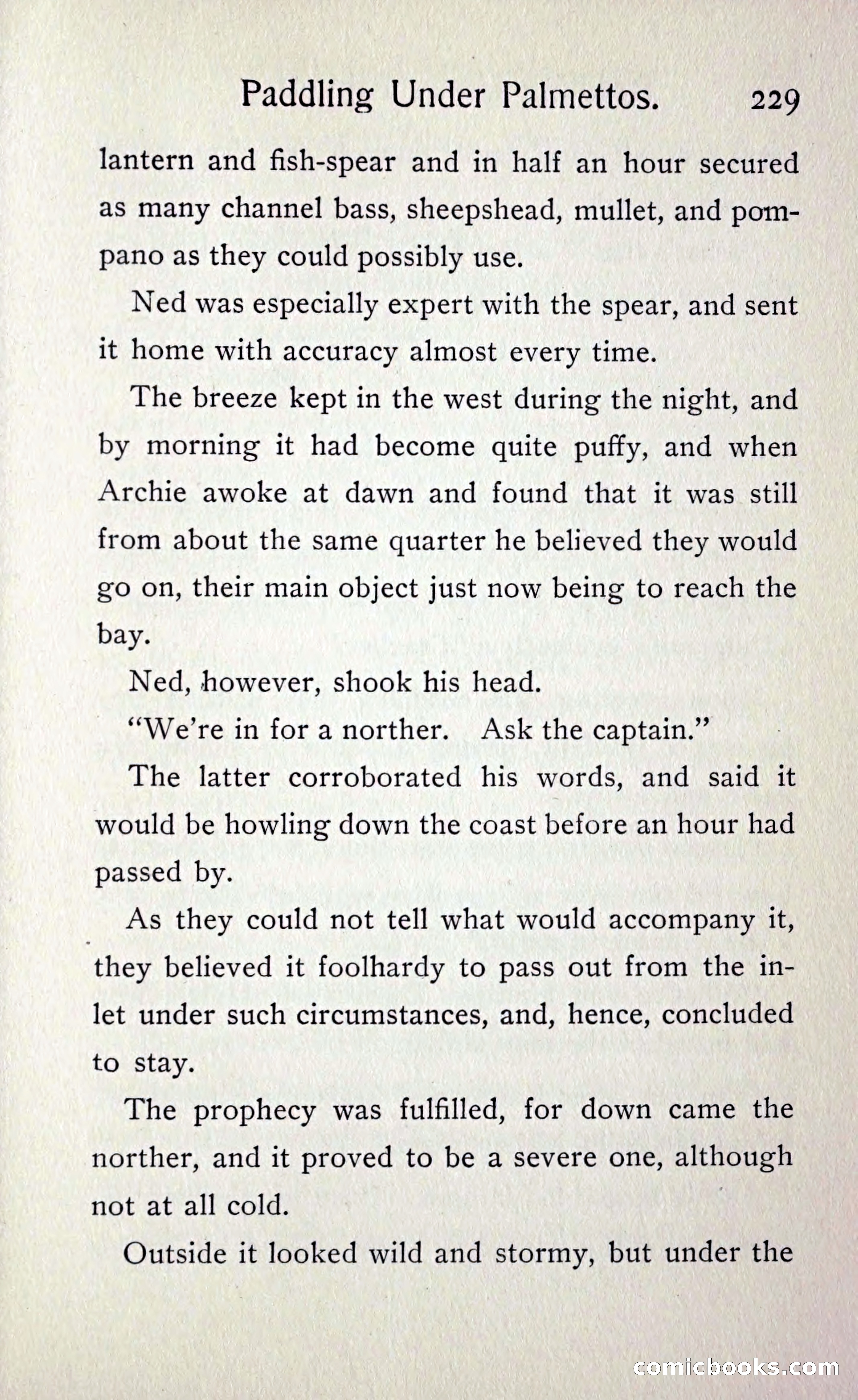Paddling under Palmettos — page 236 of 299