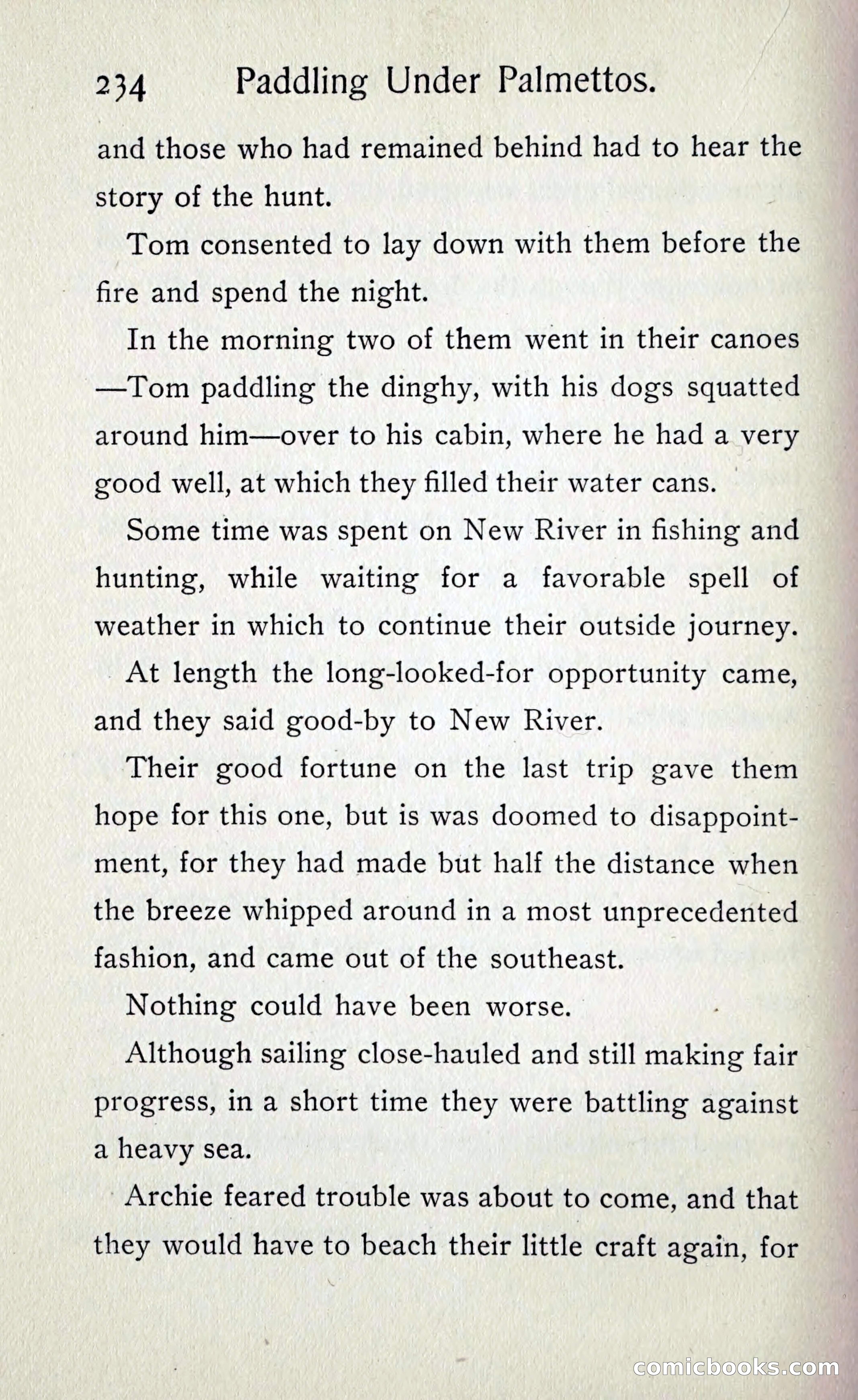 Paddling under Palmettos — page 241 of 299