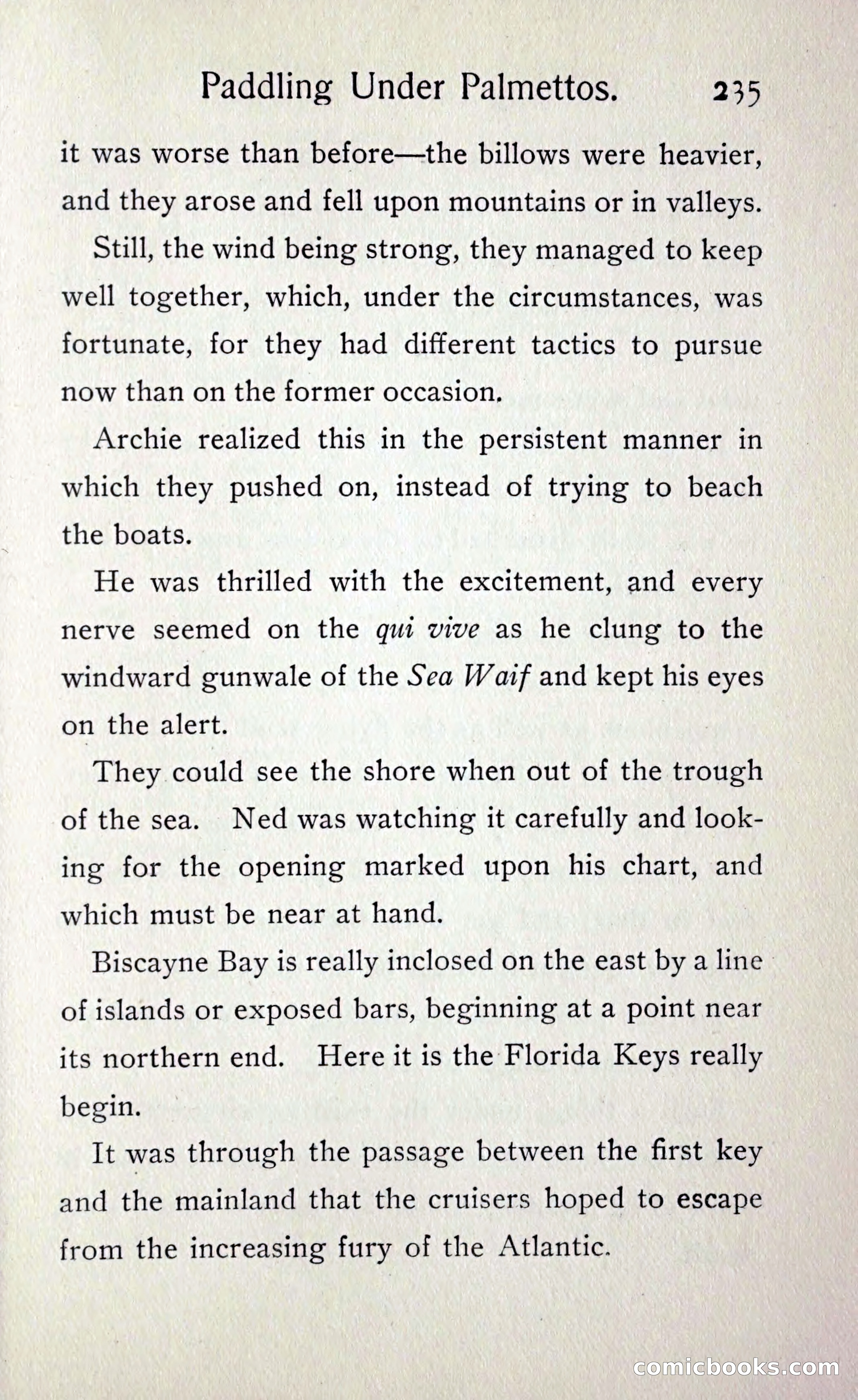Paddling under Palmettos — page 242 of 299