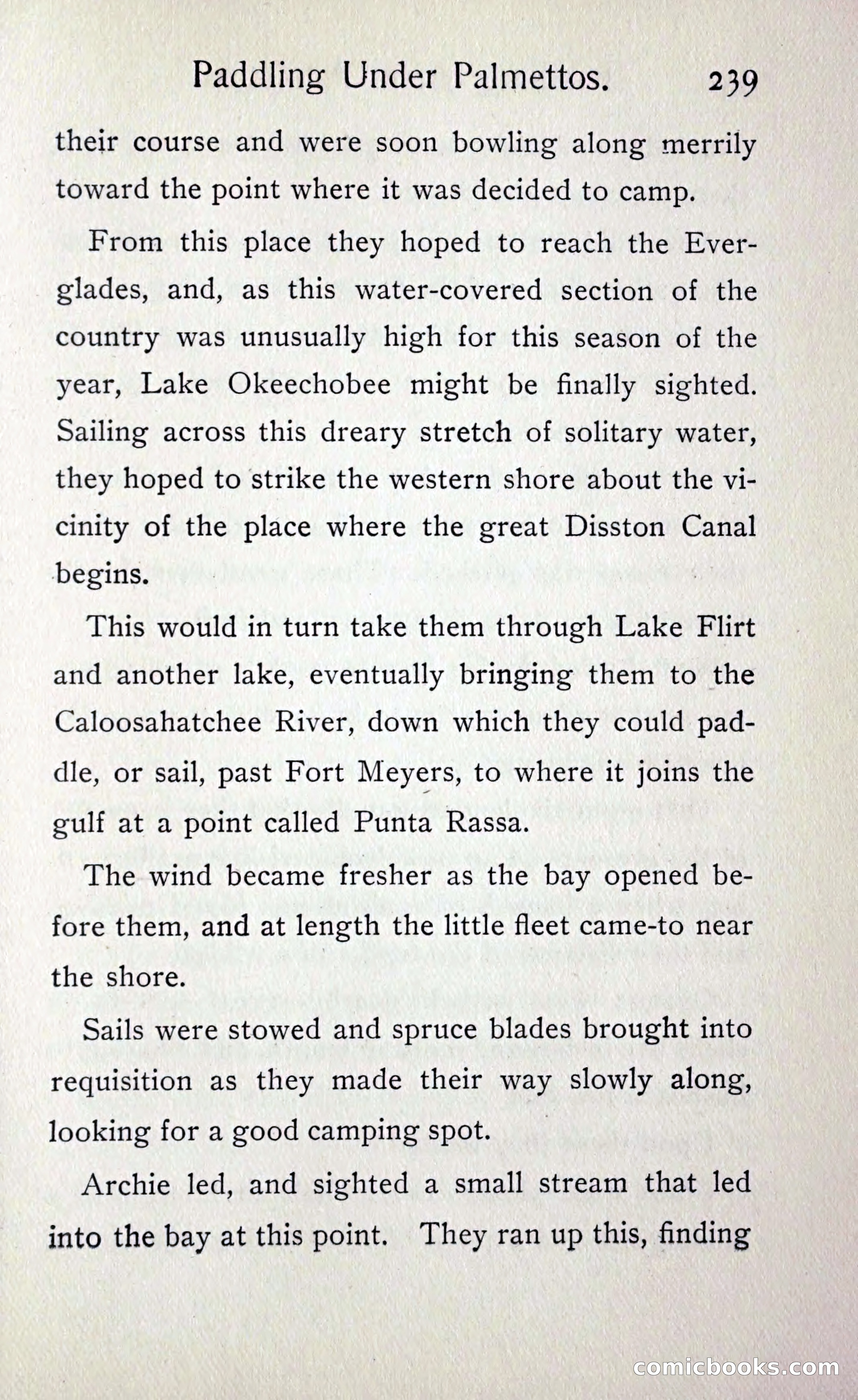 Paddling under Palmettos — page 246 of 299