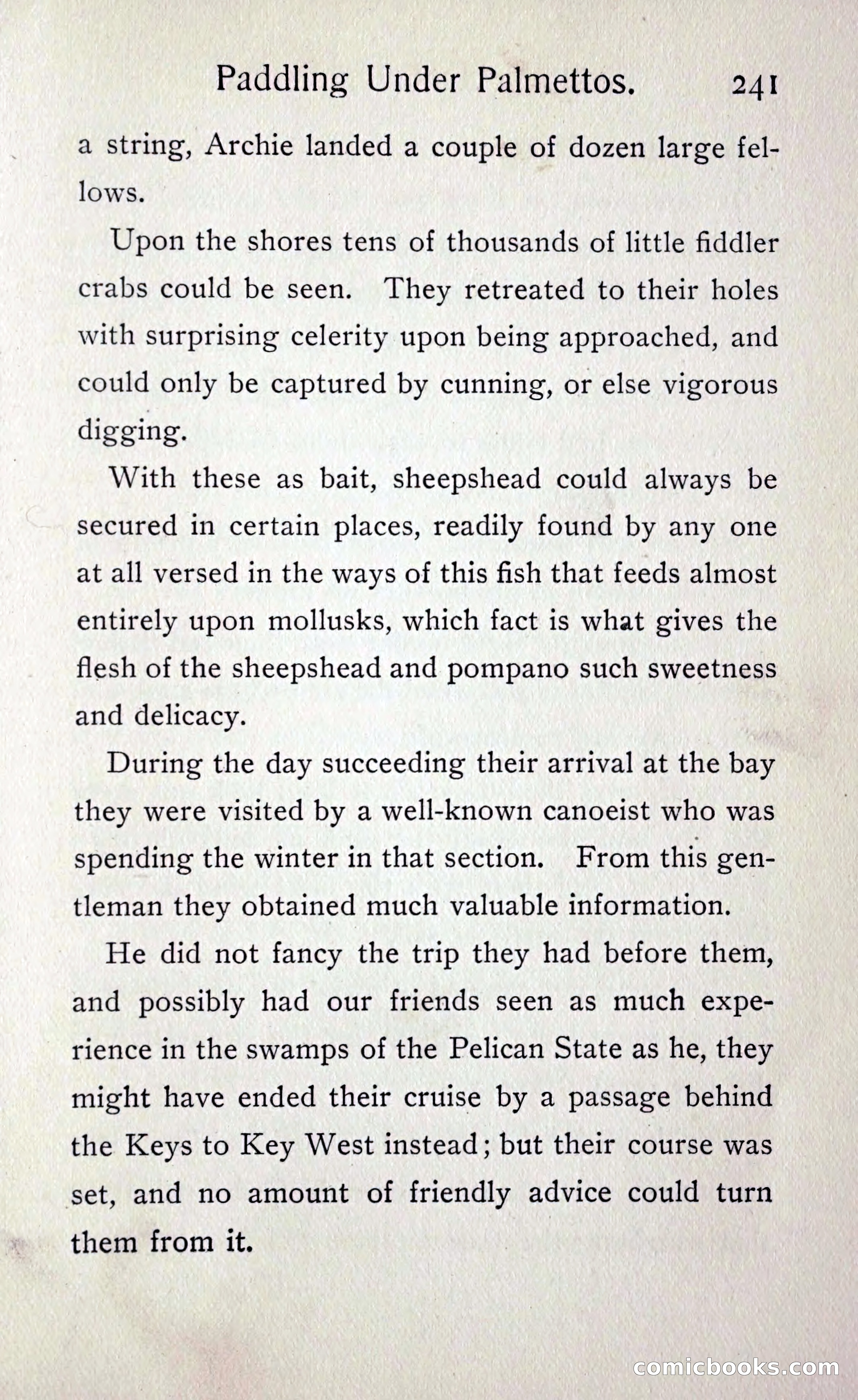 Paddling under Palmettos — page 248 of 299