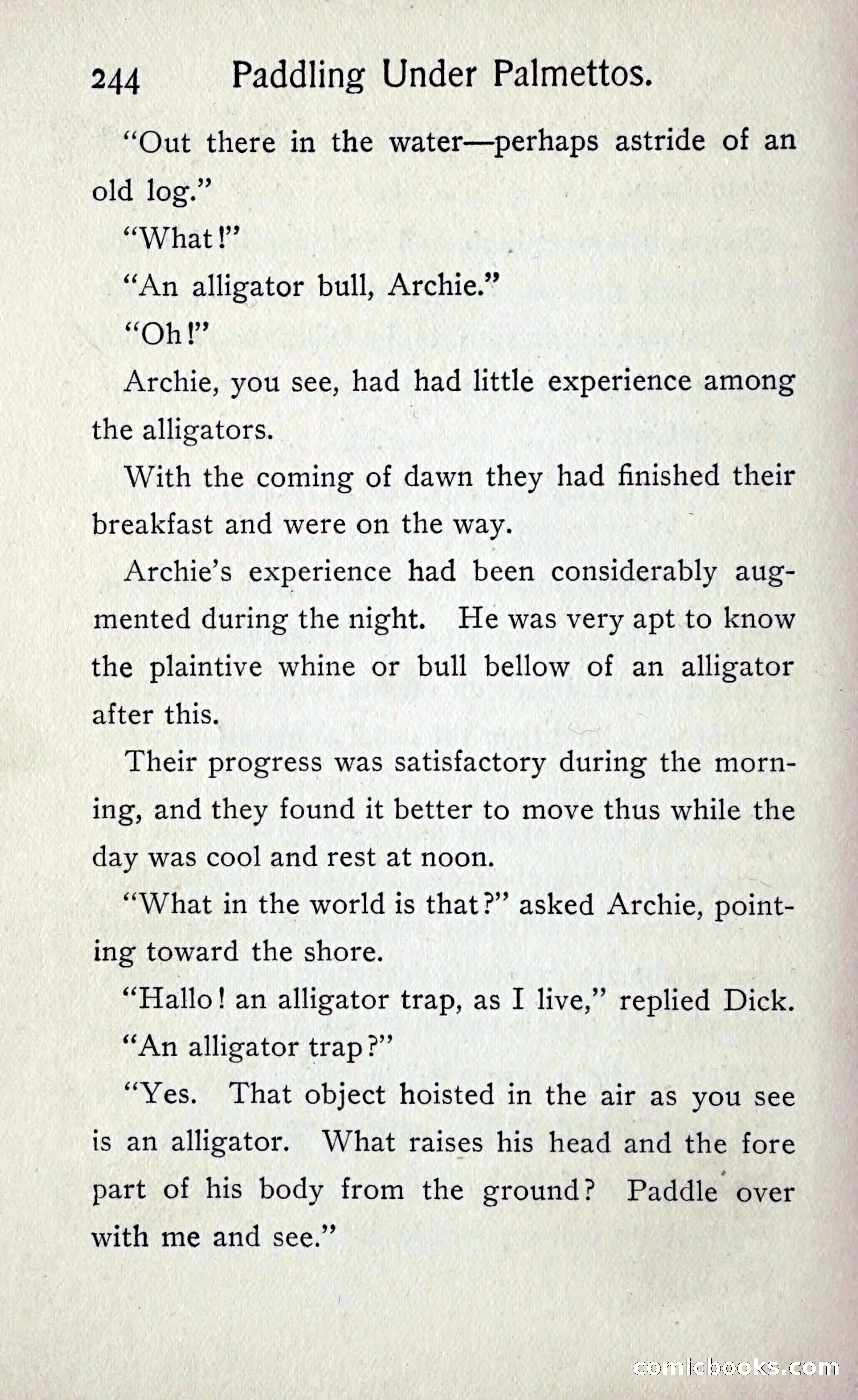 Paddling under Palmettos — page 251 of 299