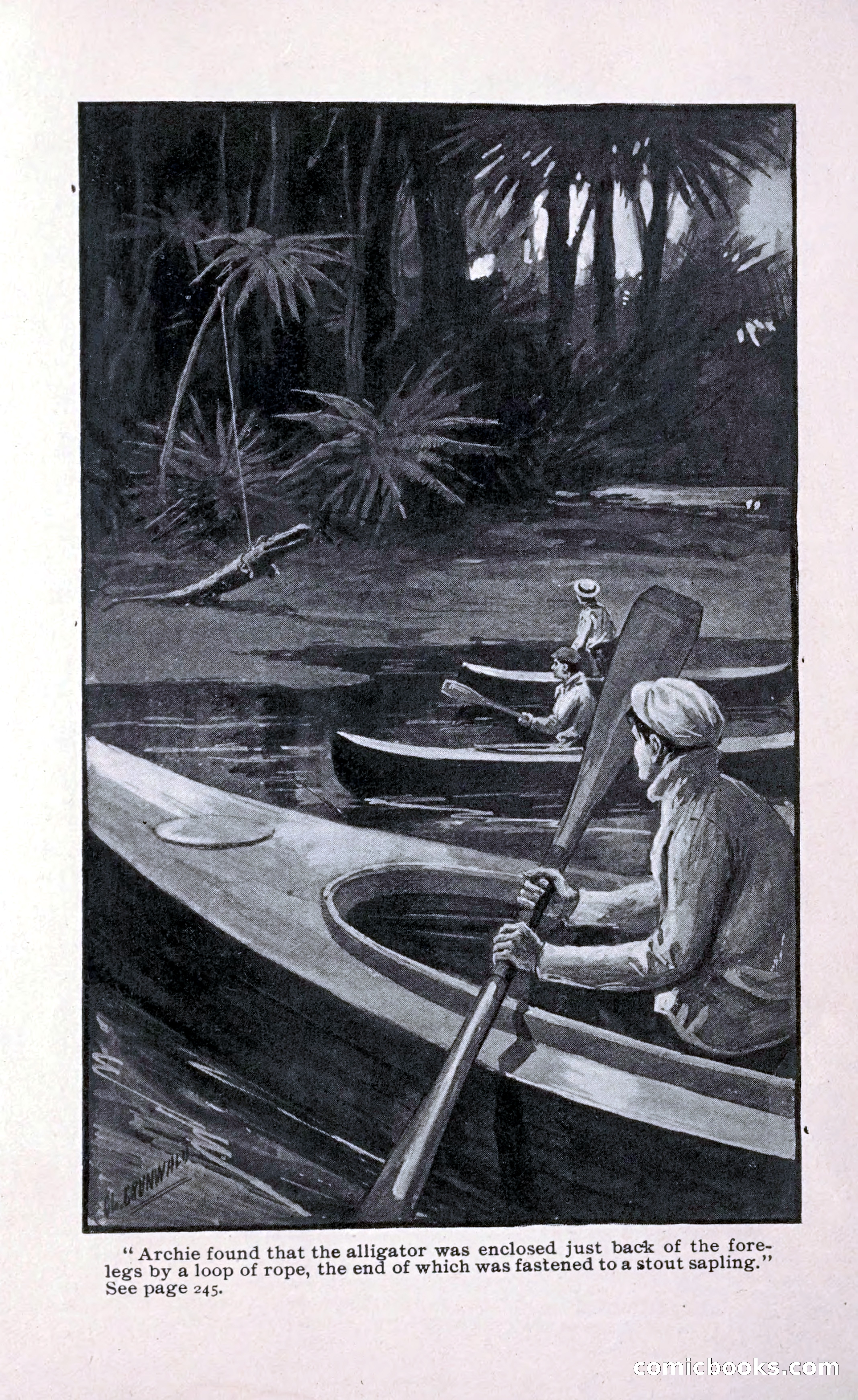 Paddling under Palmettos — page 252 of 299