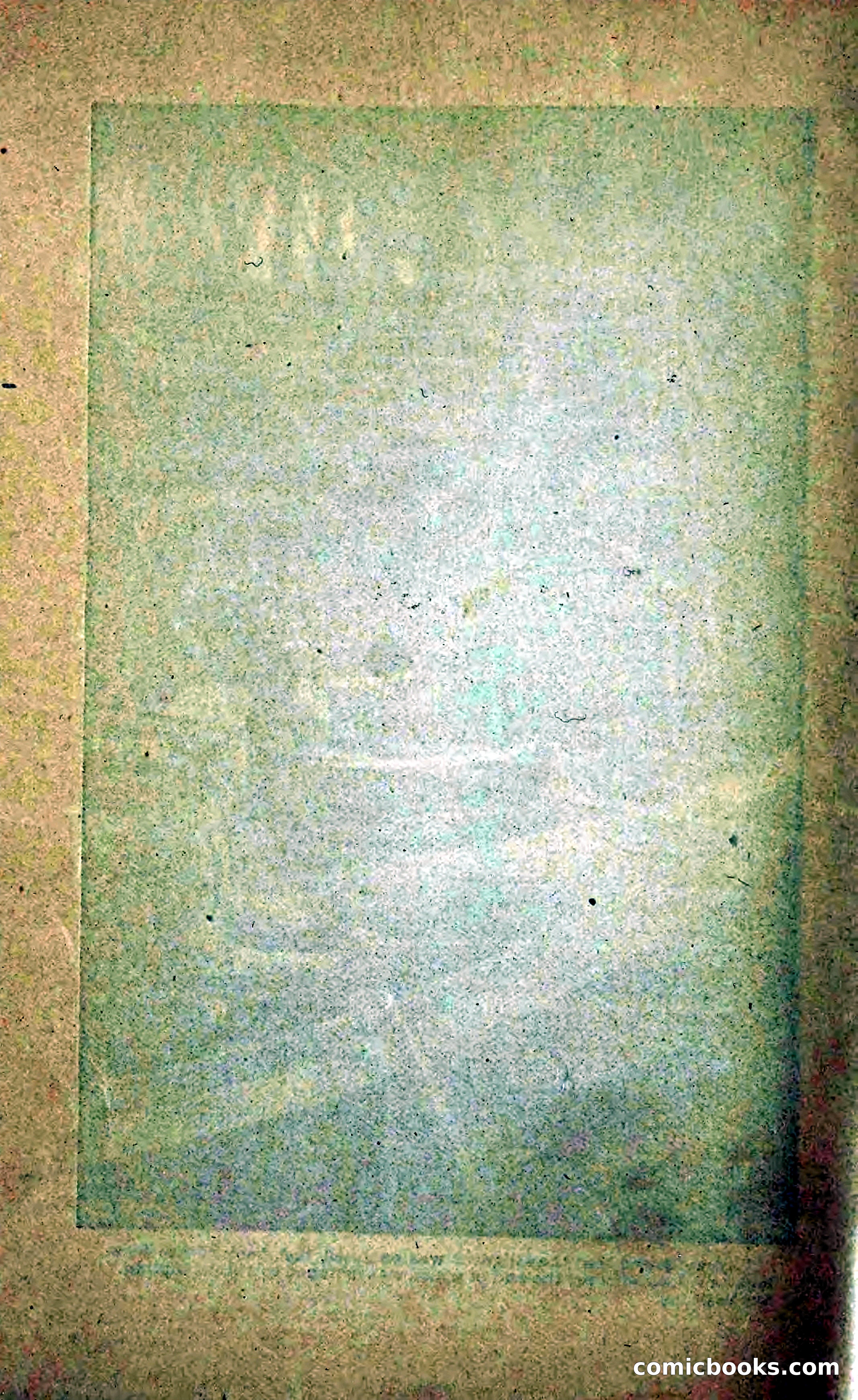 Paddling under Palmettos — page 253 of 299