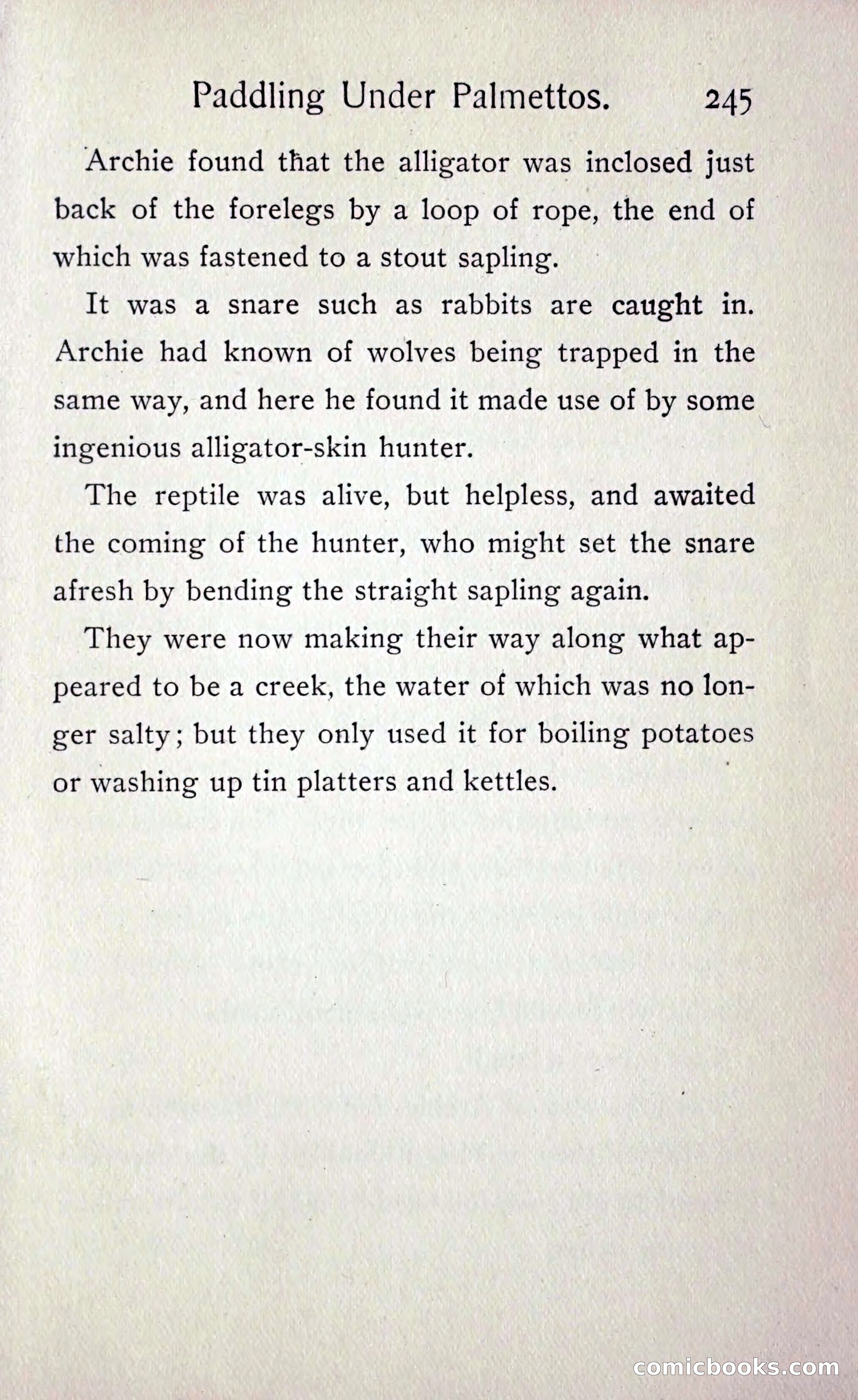 Paddling under Palmettos — page 254 of 299