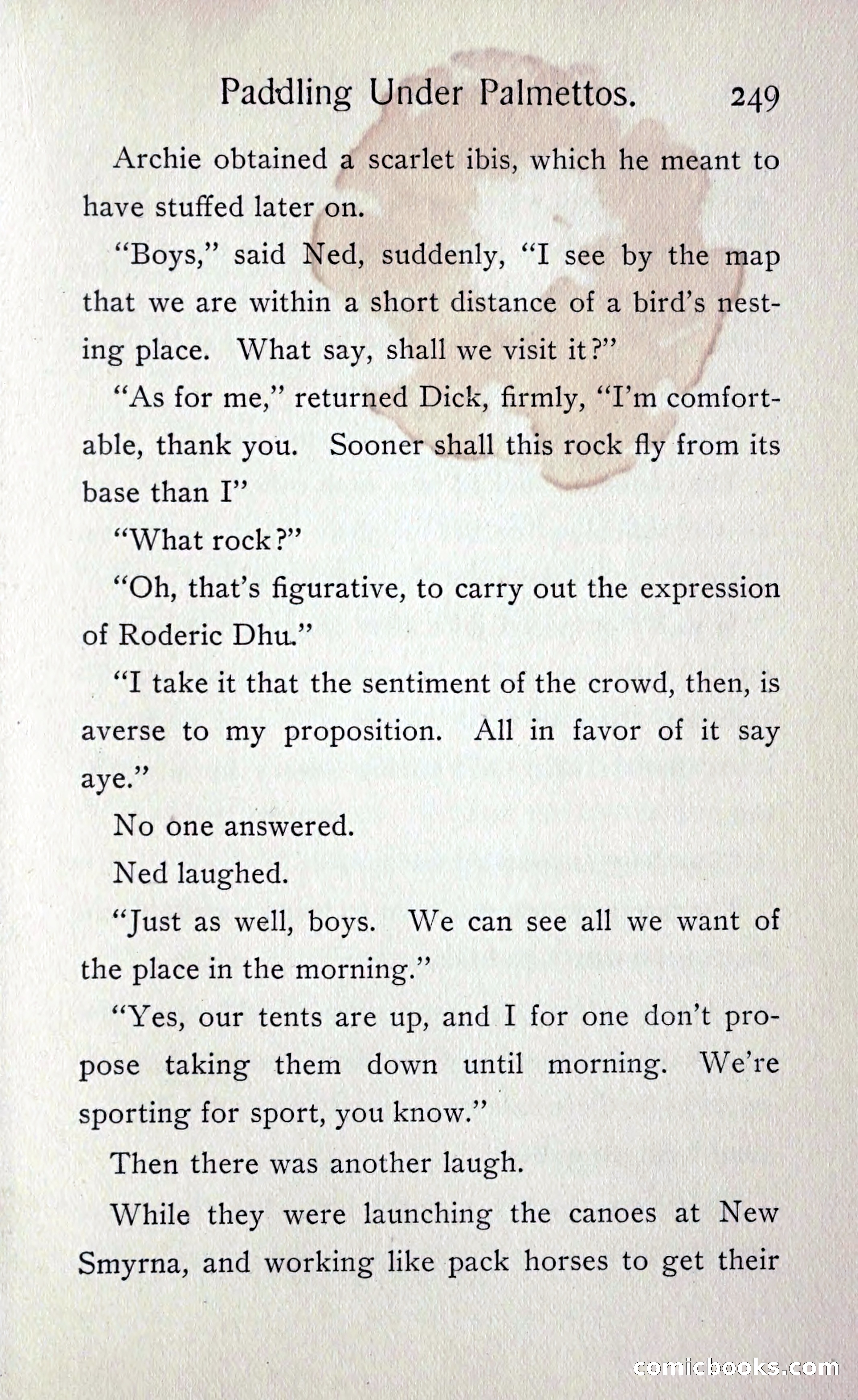 Paddling under Palmettos — page 258 of 299