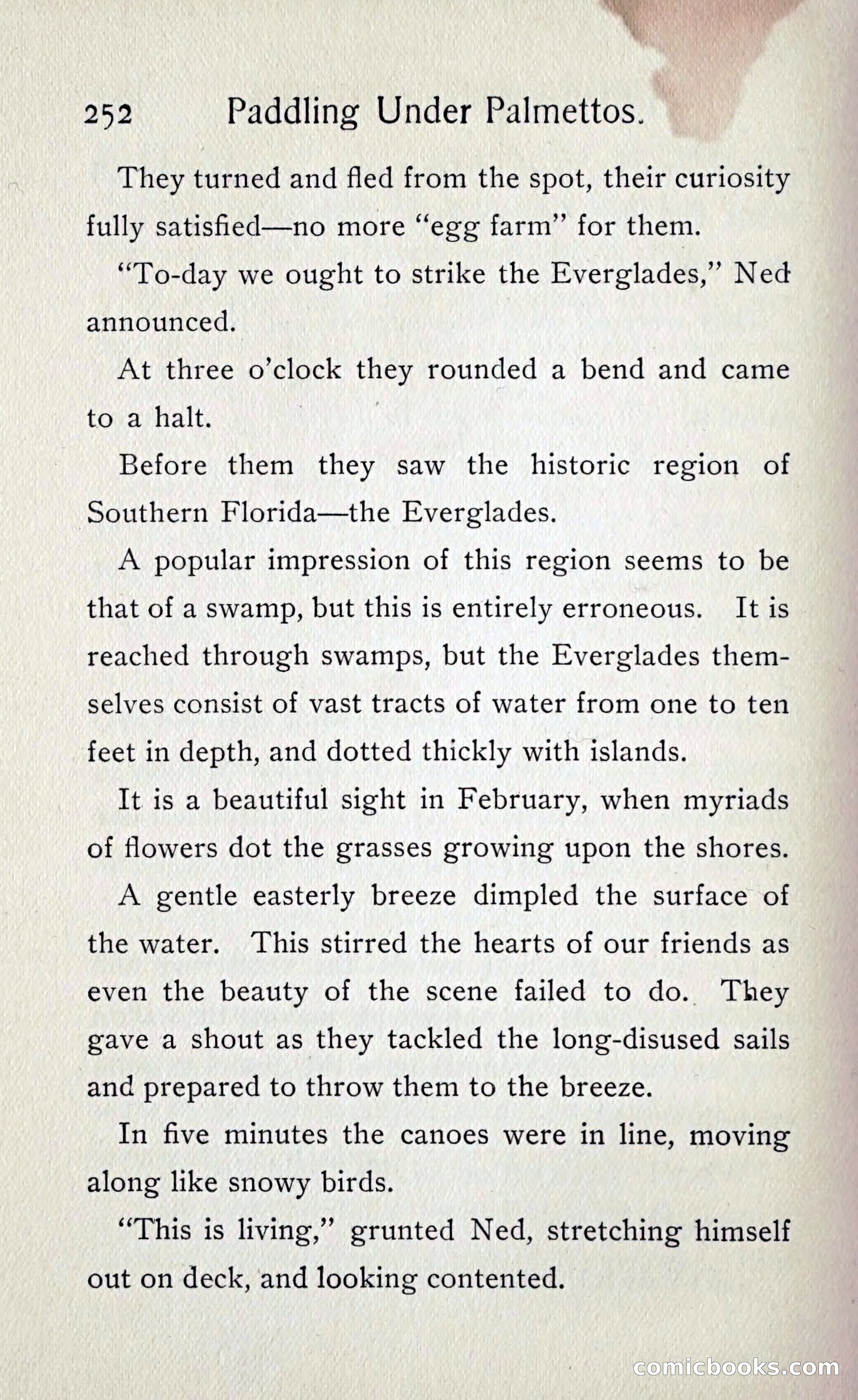 Paddling under Palmettos — page 261 of 299