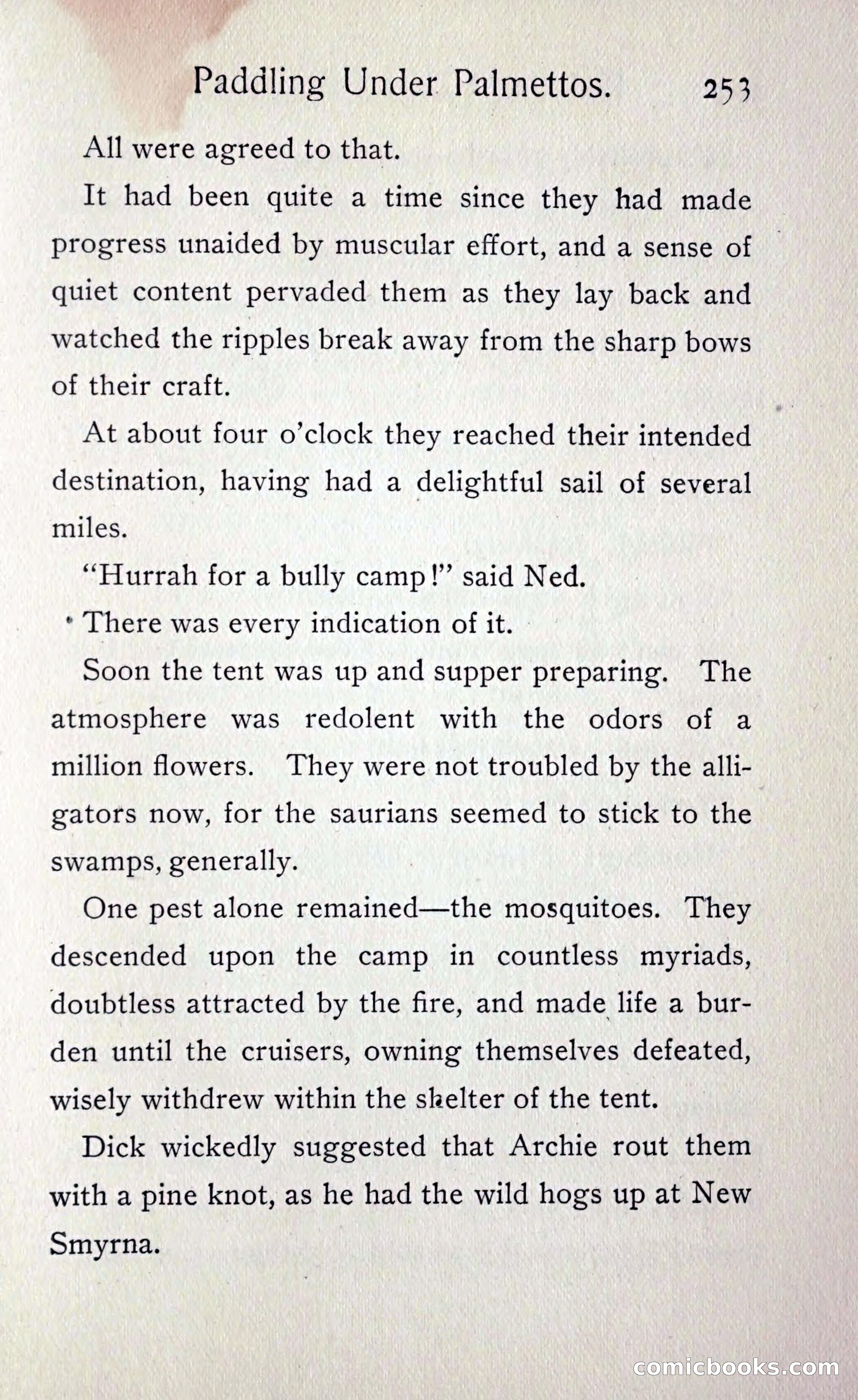 Paddling under Palmettos — page 262 of 299