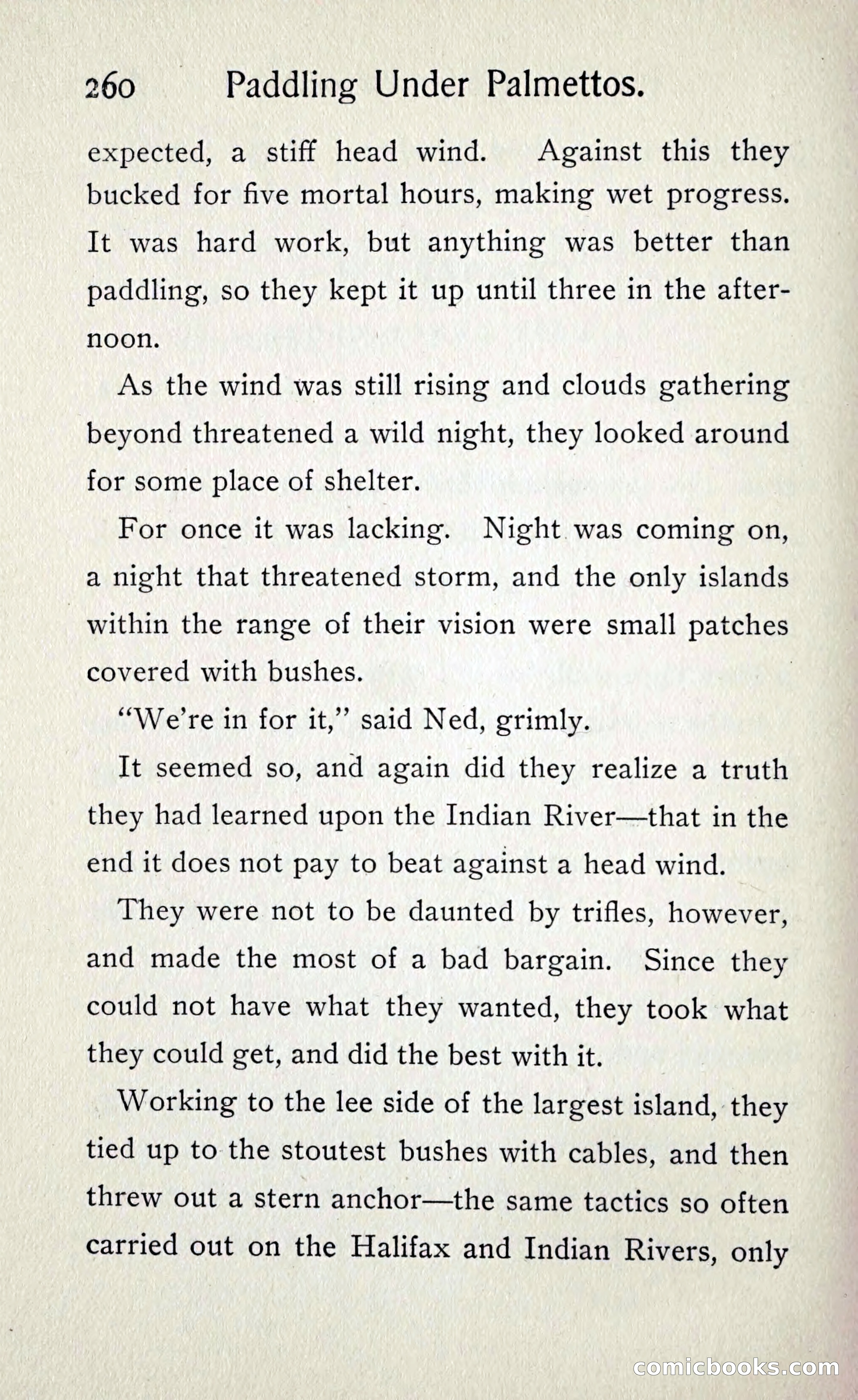 Paddling under Palmettos — page 269 of 299