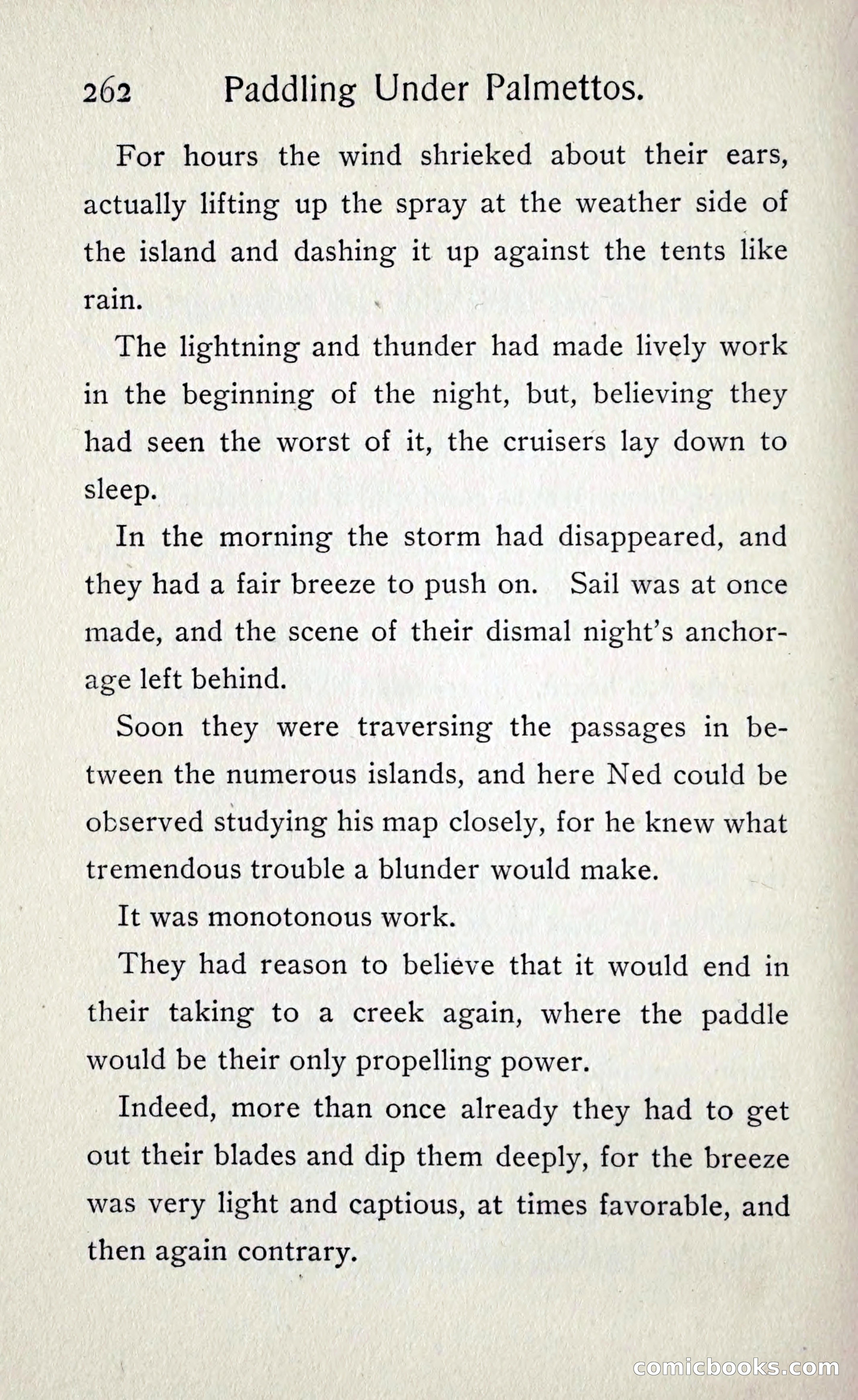 Paddling under Palmettos — page 271 of 299
