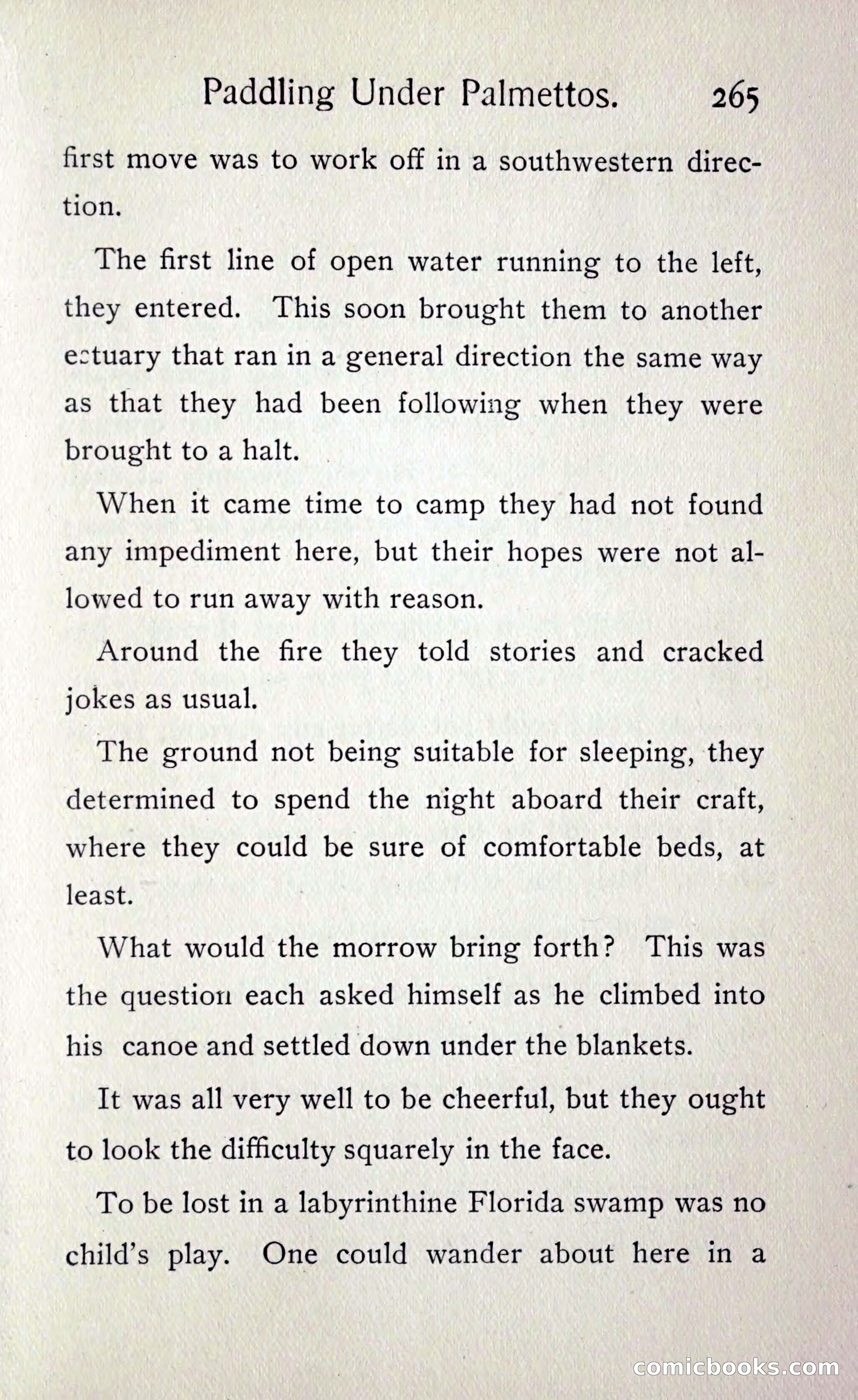 Paddling under Palmettos — page 274 of 299