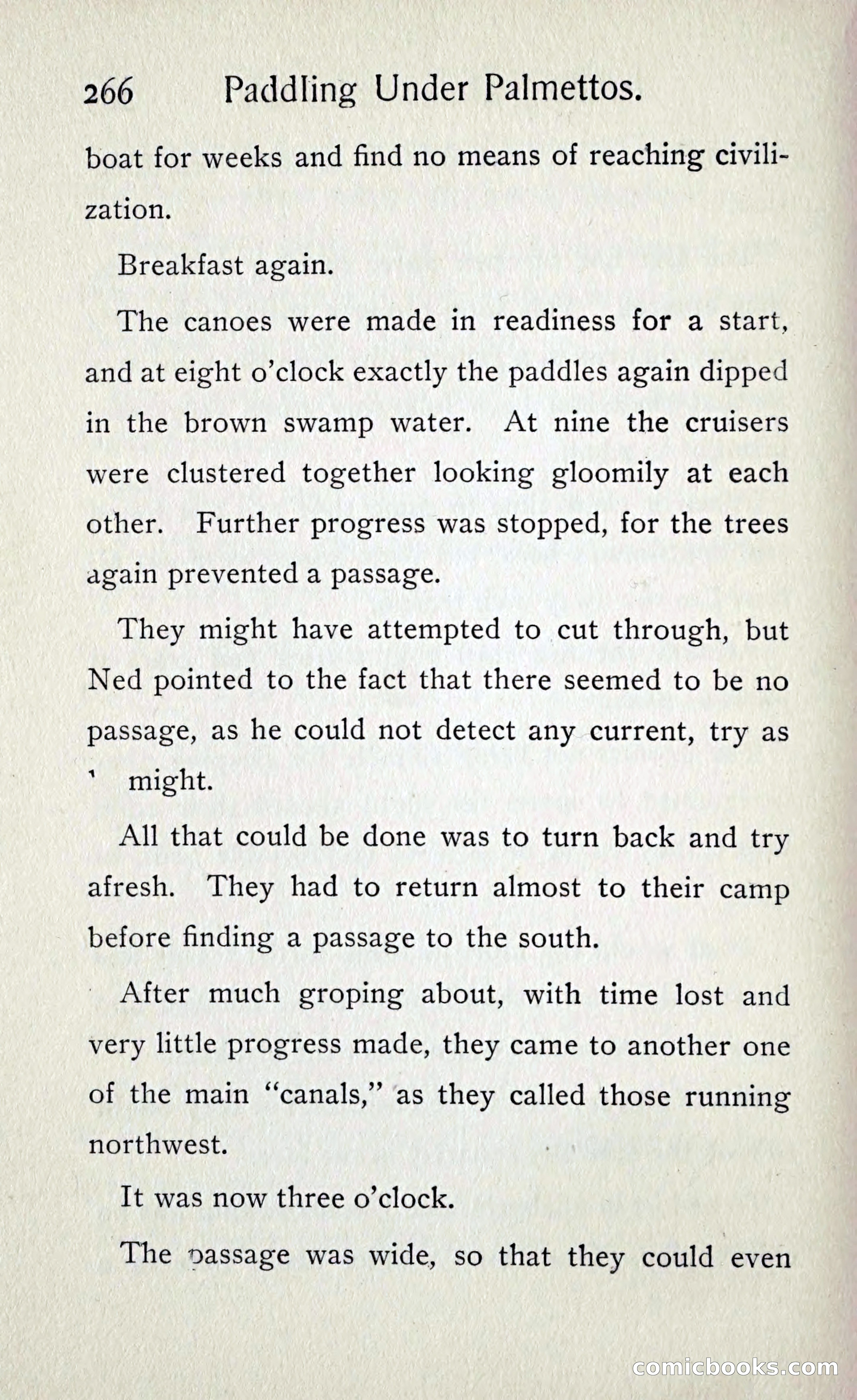 Paddling under Palmettos — page 275 of 299