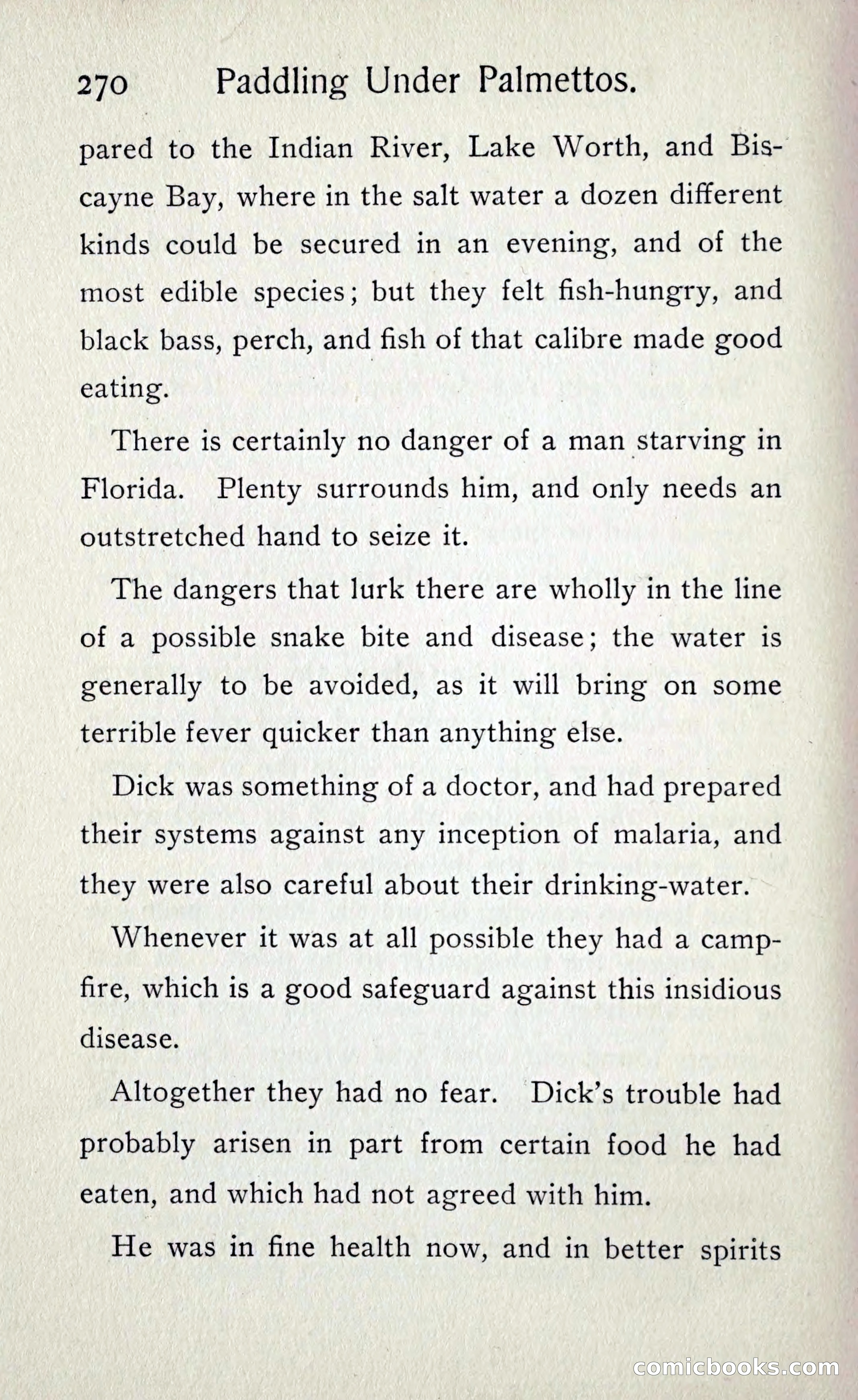 Paddling under Palmettos — page 279 of 299