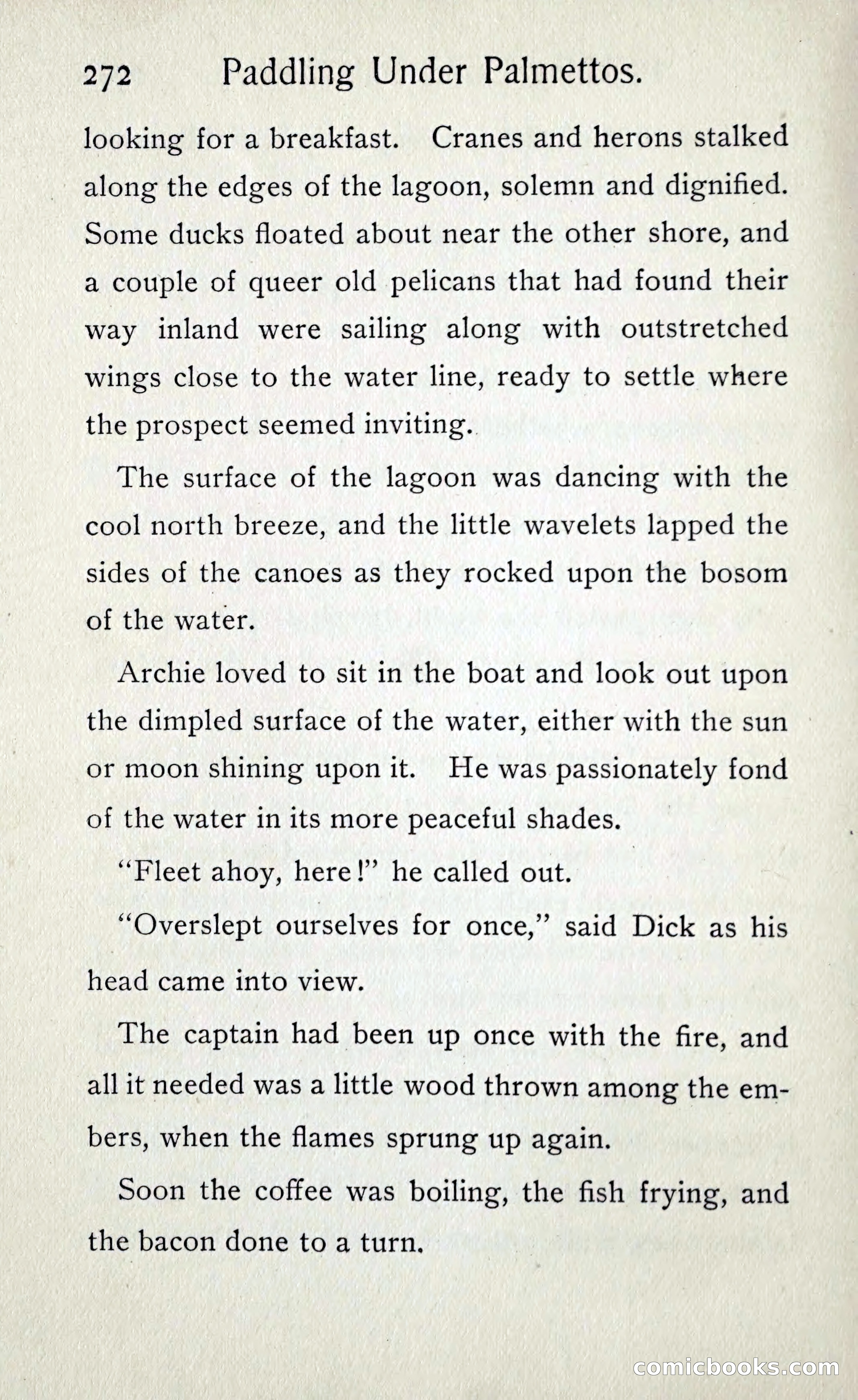 Paddling under Palmettos — page 281 of 299