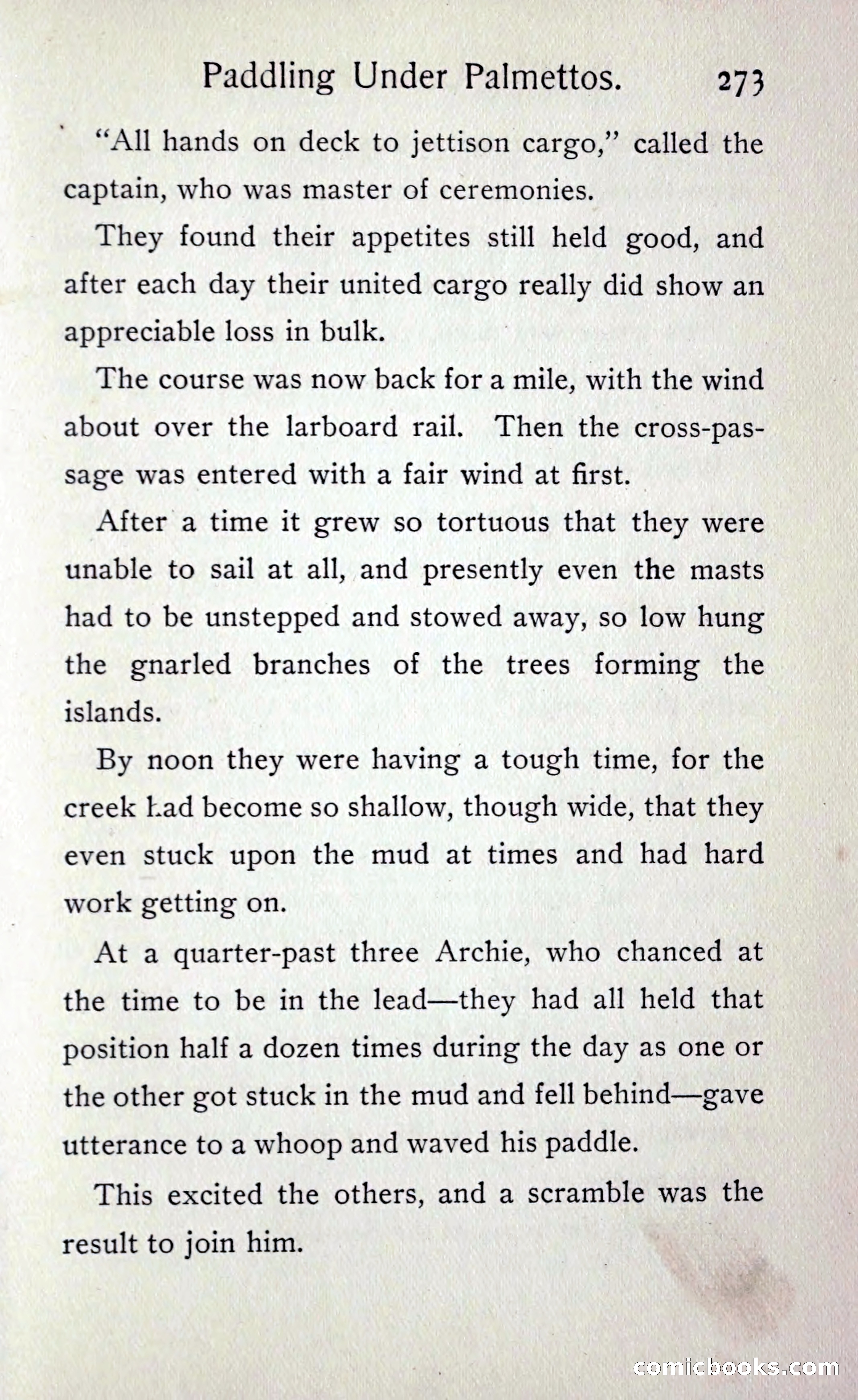 Paddling under Palmettos — page 282 of 299