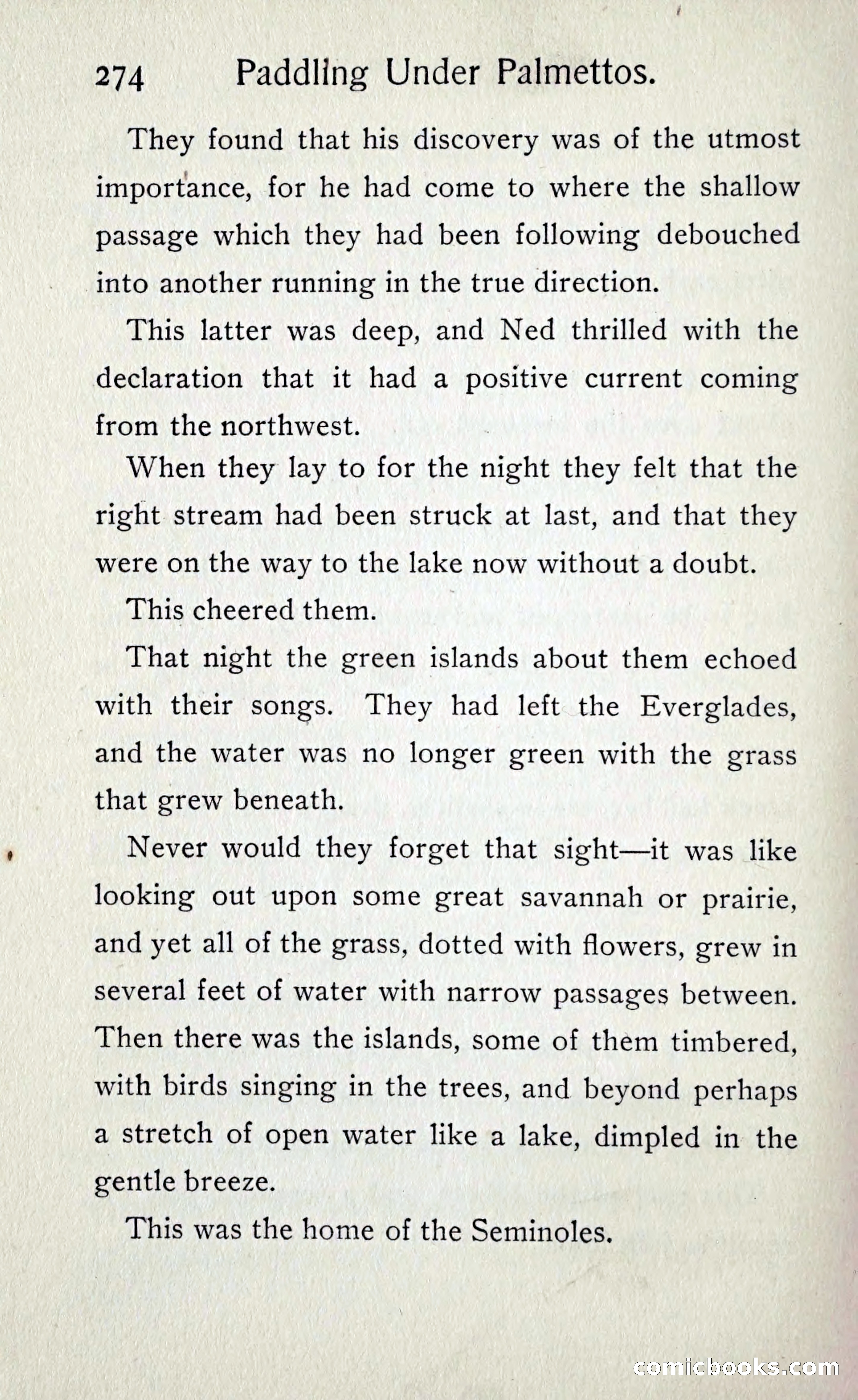 Paddling under Palmettos — page 283 of 299