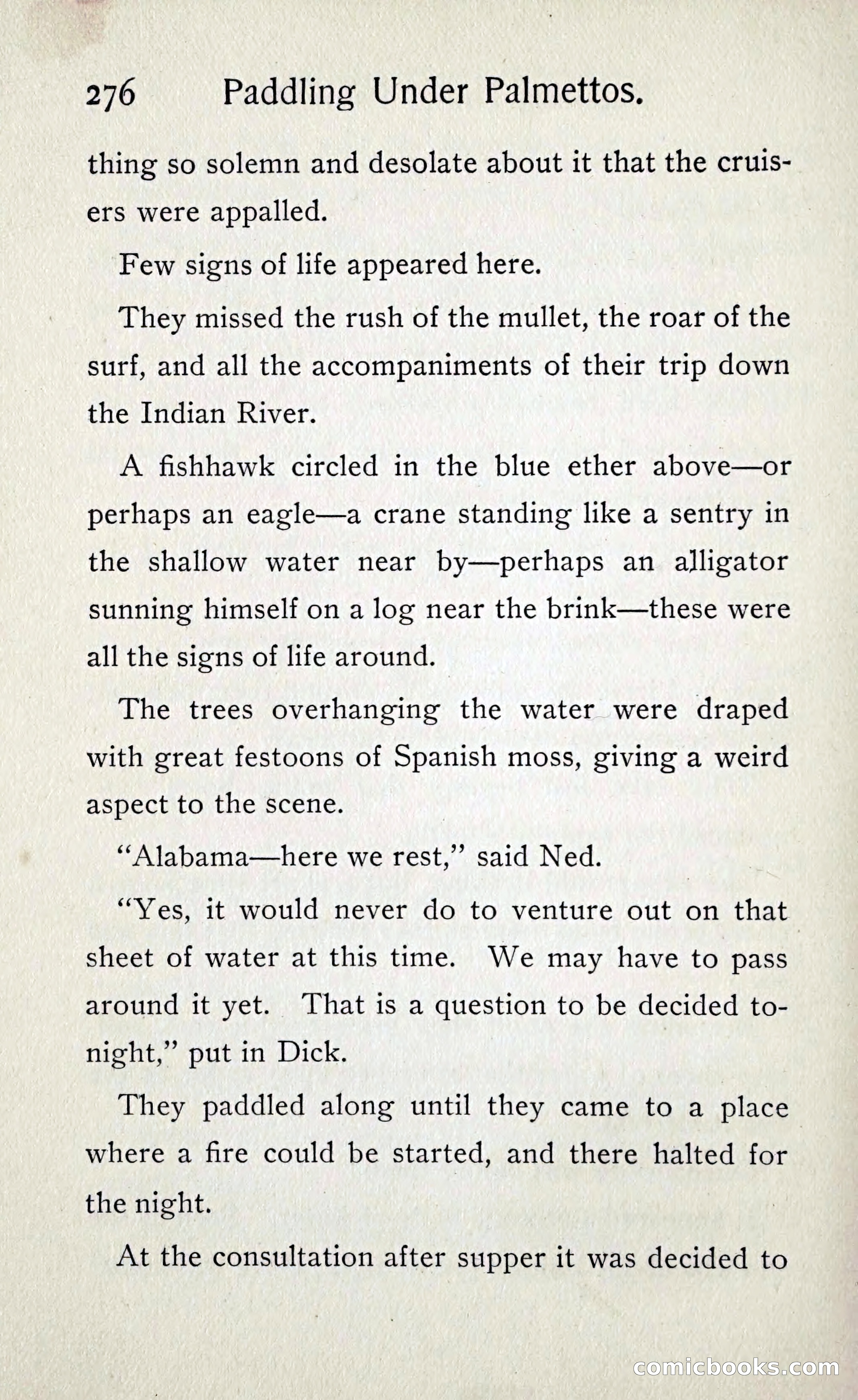 Paddling under Palmettos — page 285 of 299