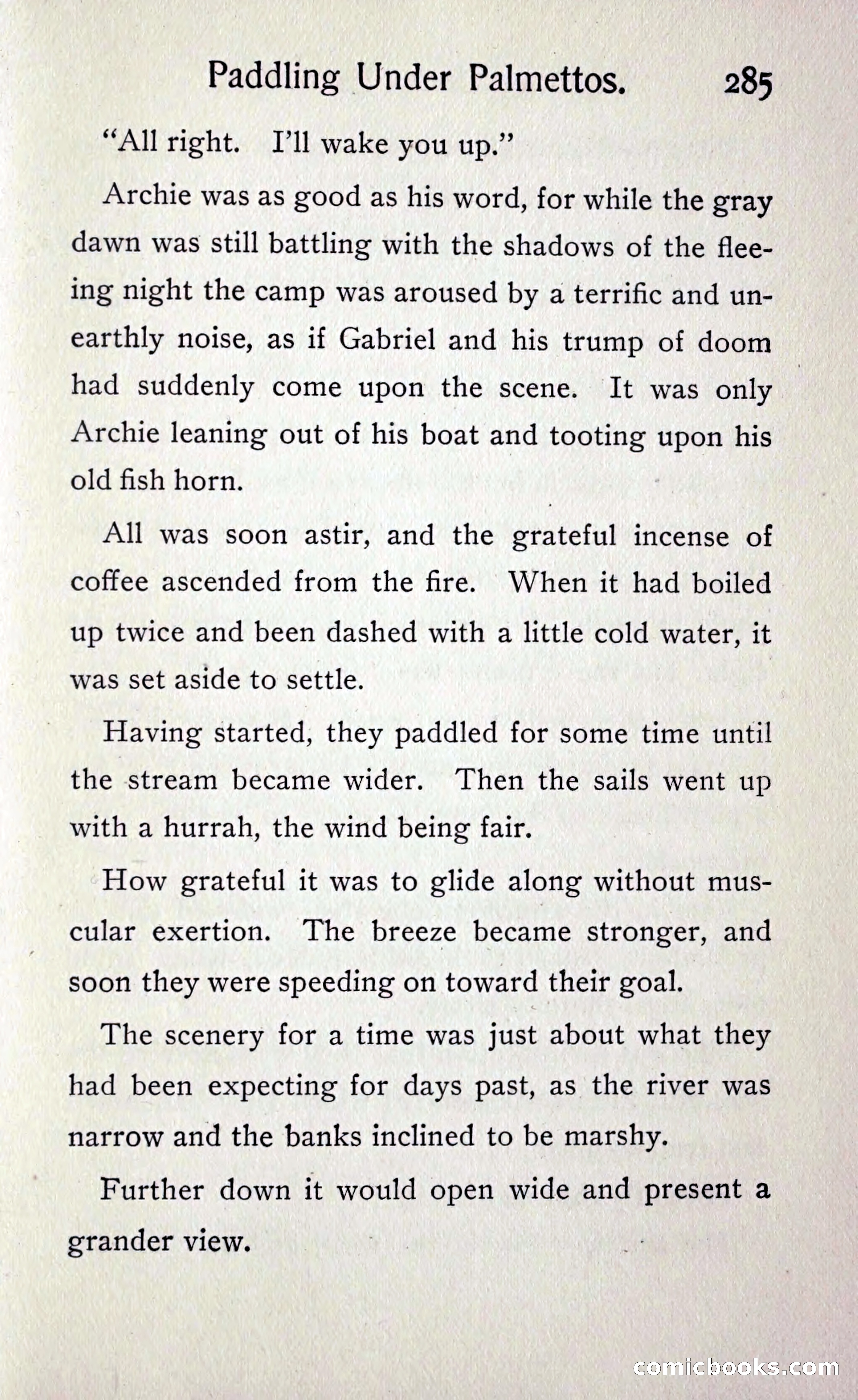 Paddling under Palmettos — page 294 of 299