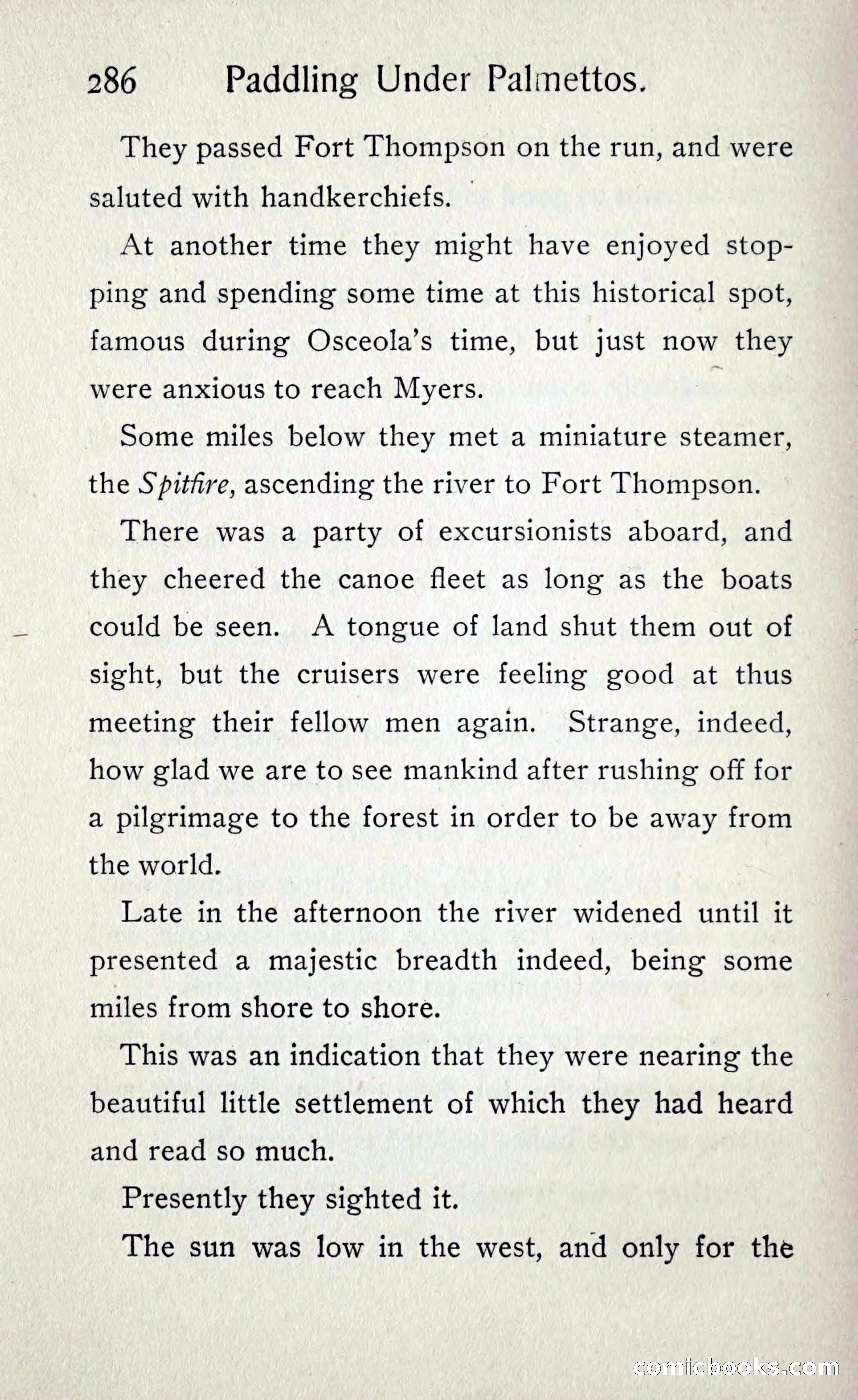 Paddling under Palmettos — page 295 of 299
