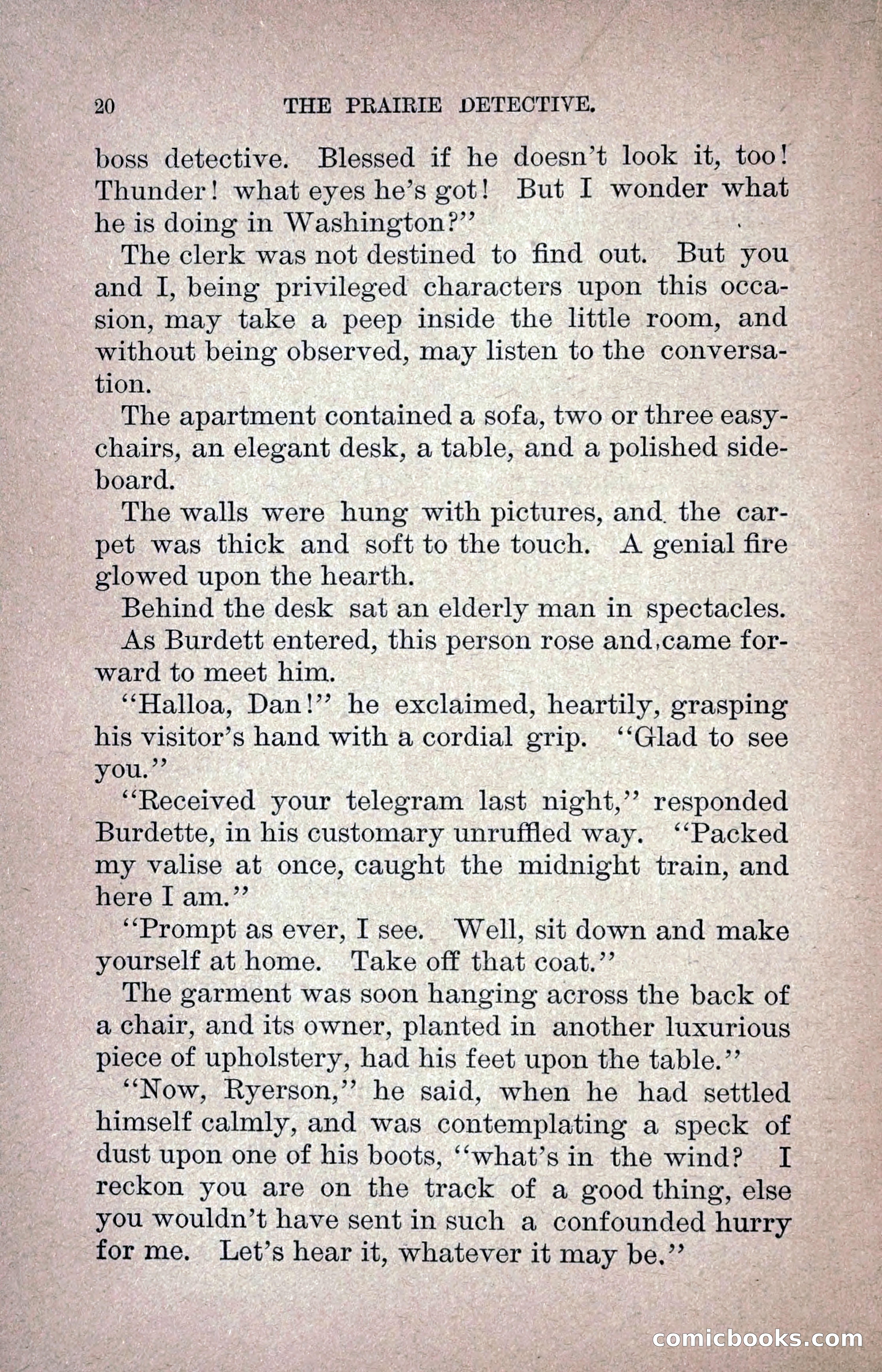 The Prairie Detective — page 29 of 217