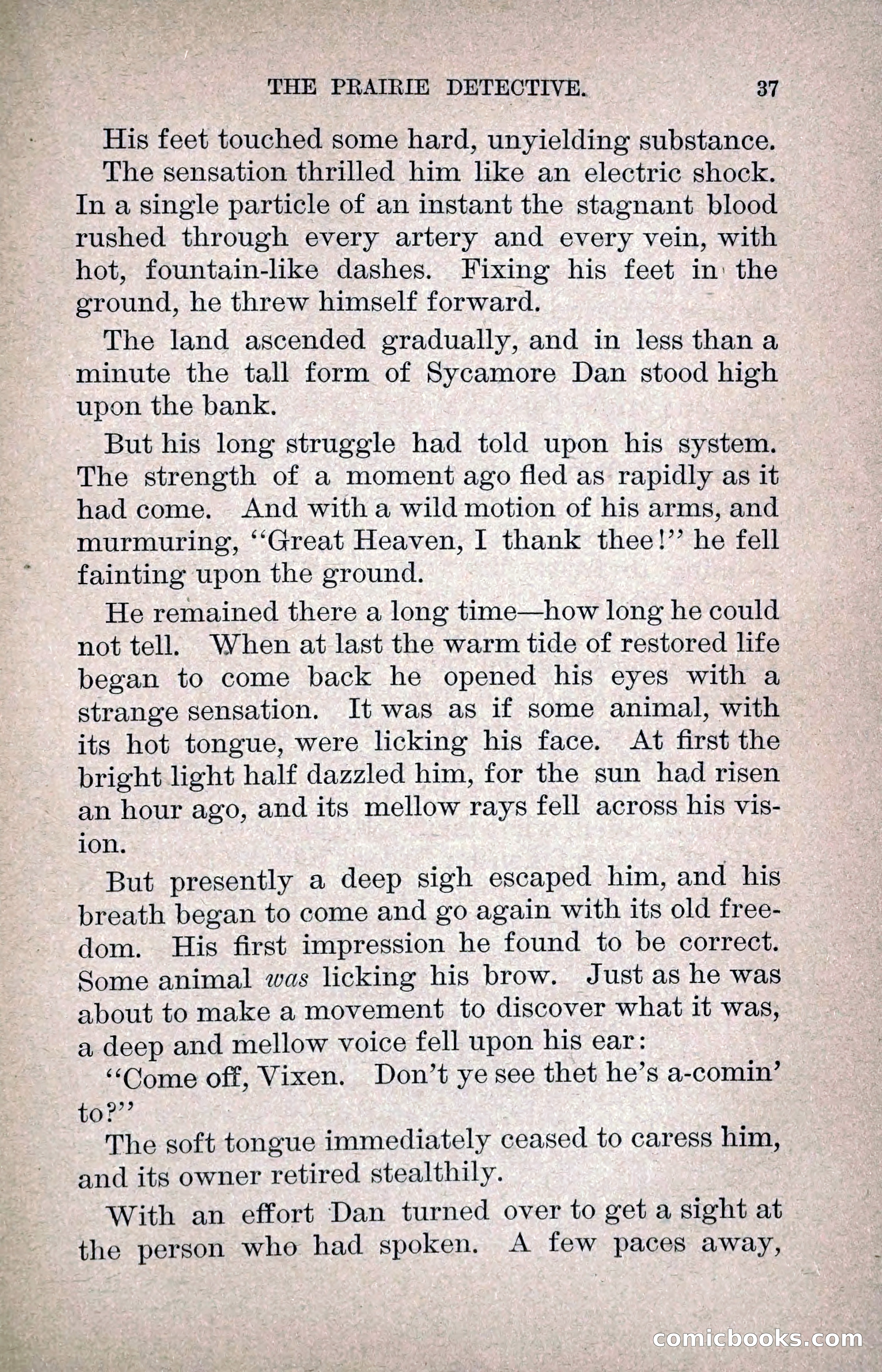 The Prairie Detective — page 46 of 217
