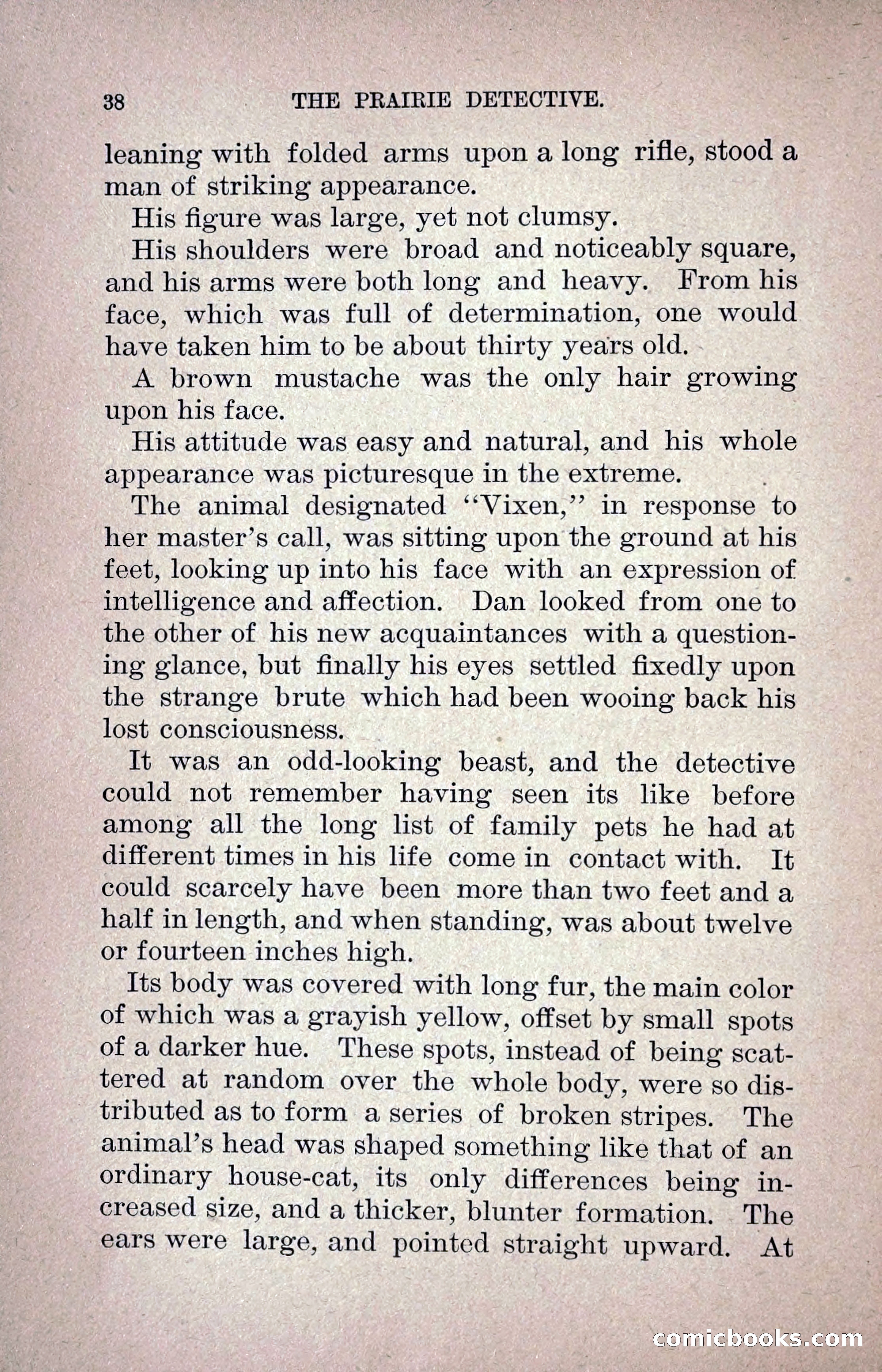 The Prairie Detective — page 47 of 217
