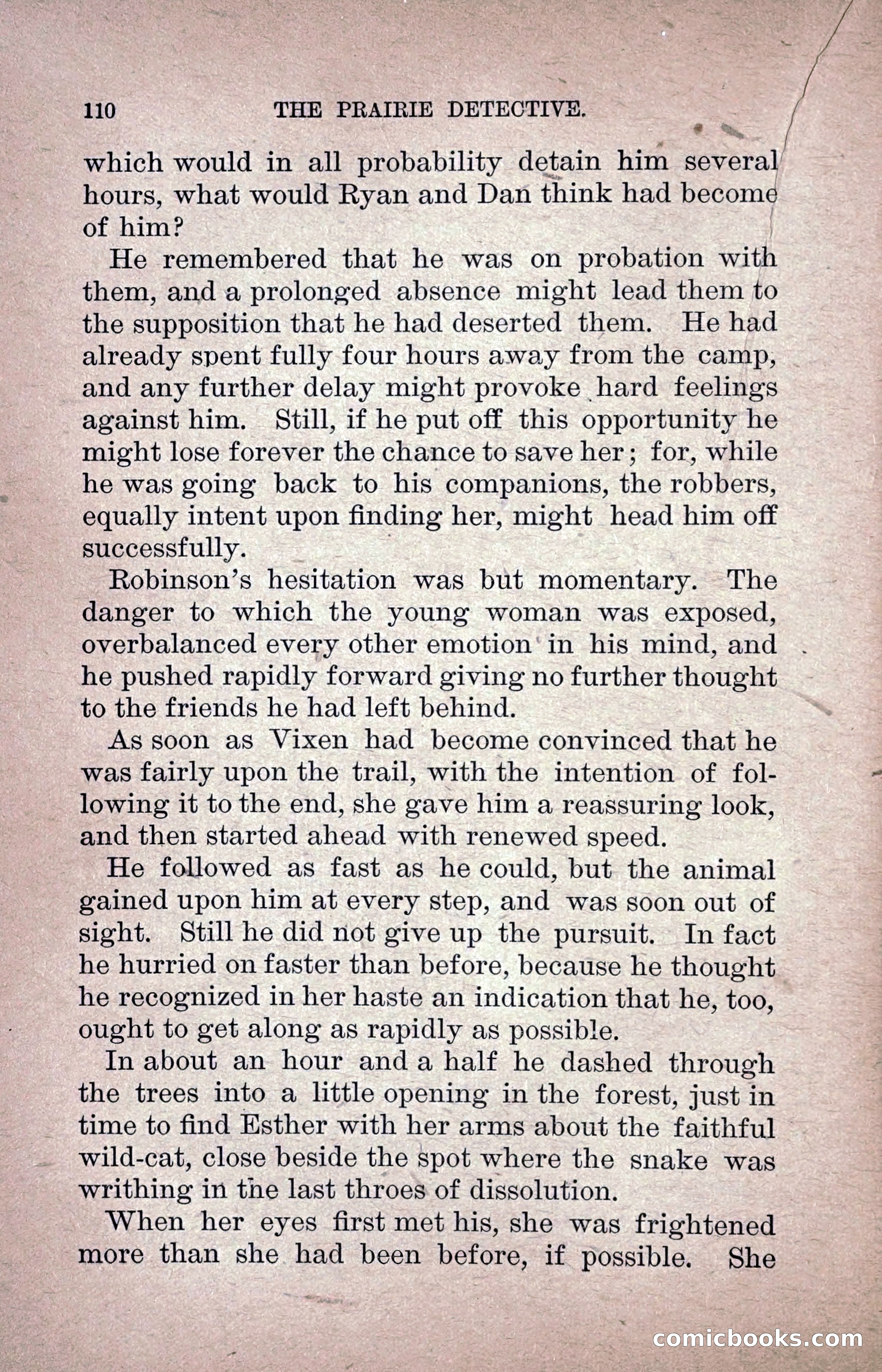 The Prairie Detective — page 119 of 217