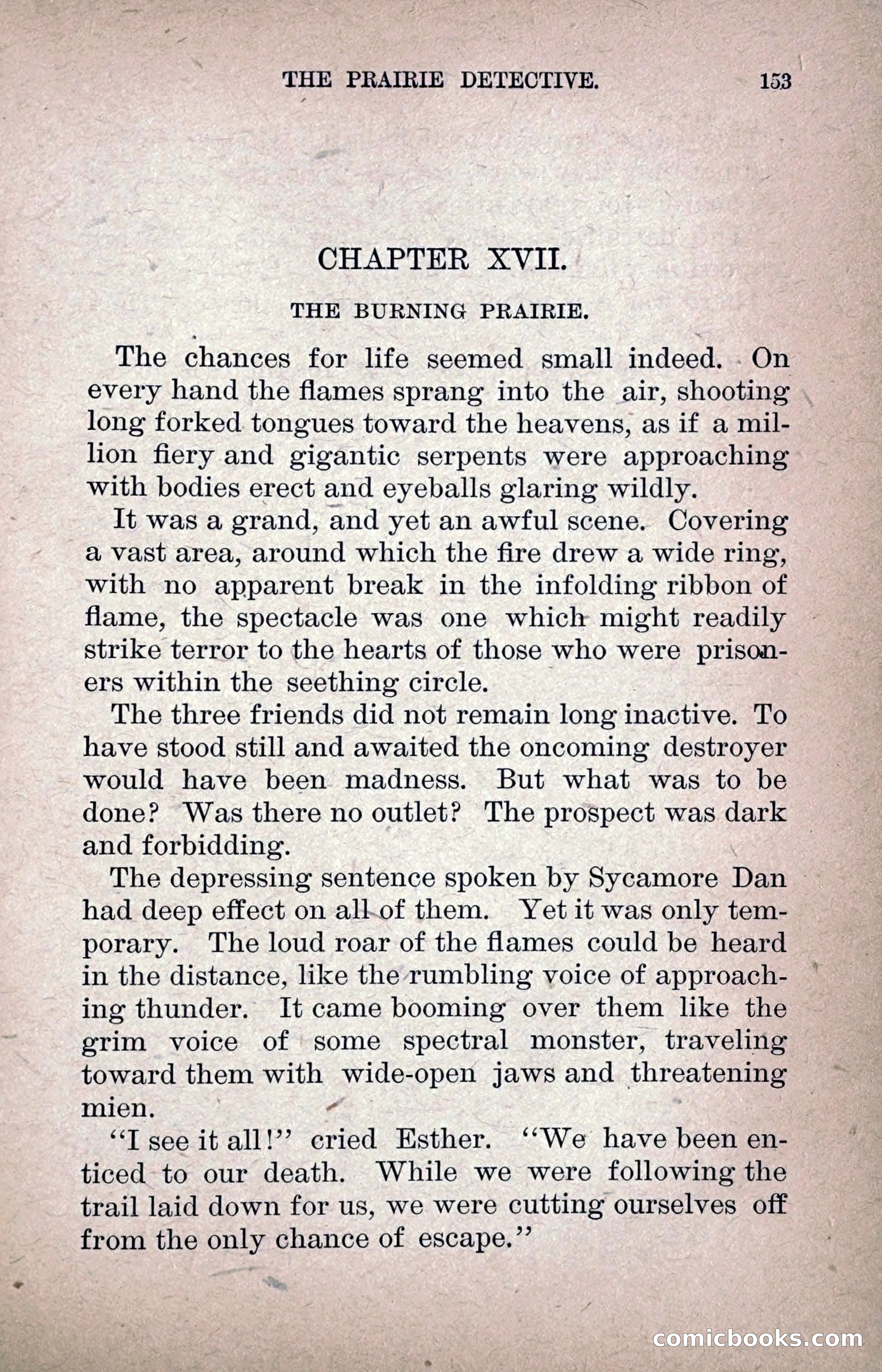 The Prairie Detective — page 162 of 217