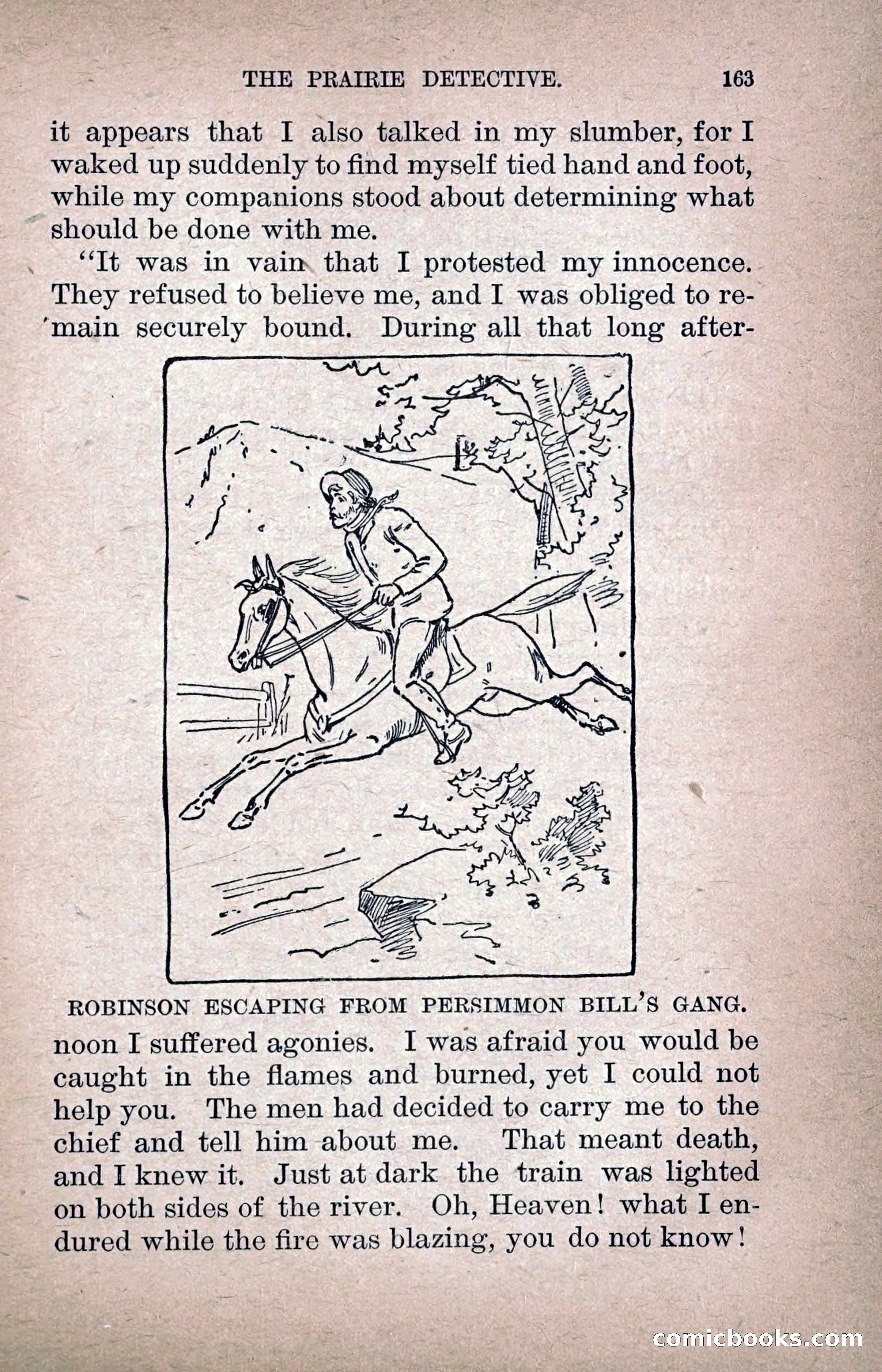 The Prairie Detective — page 172 of 217
