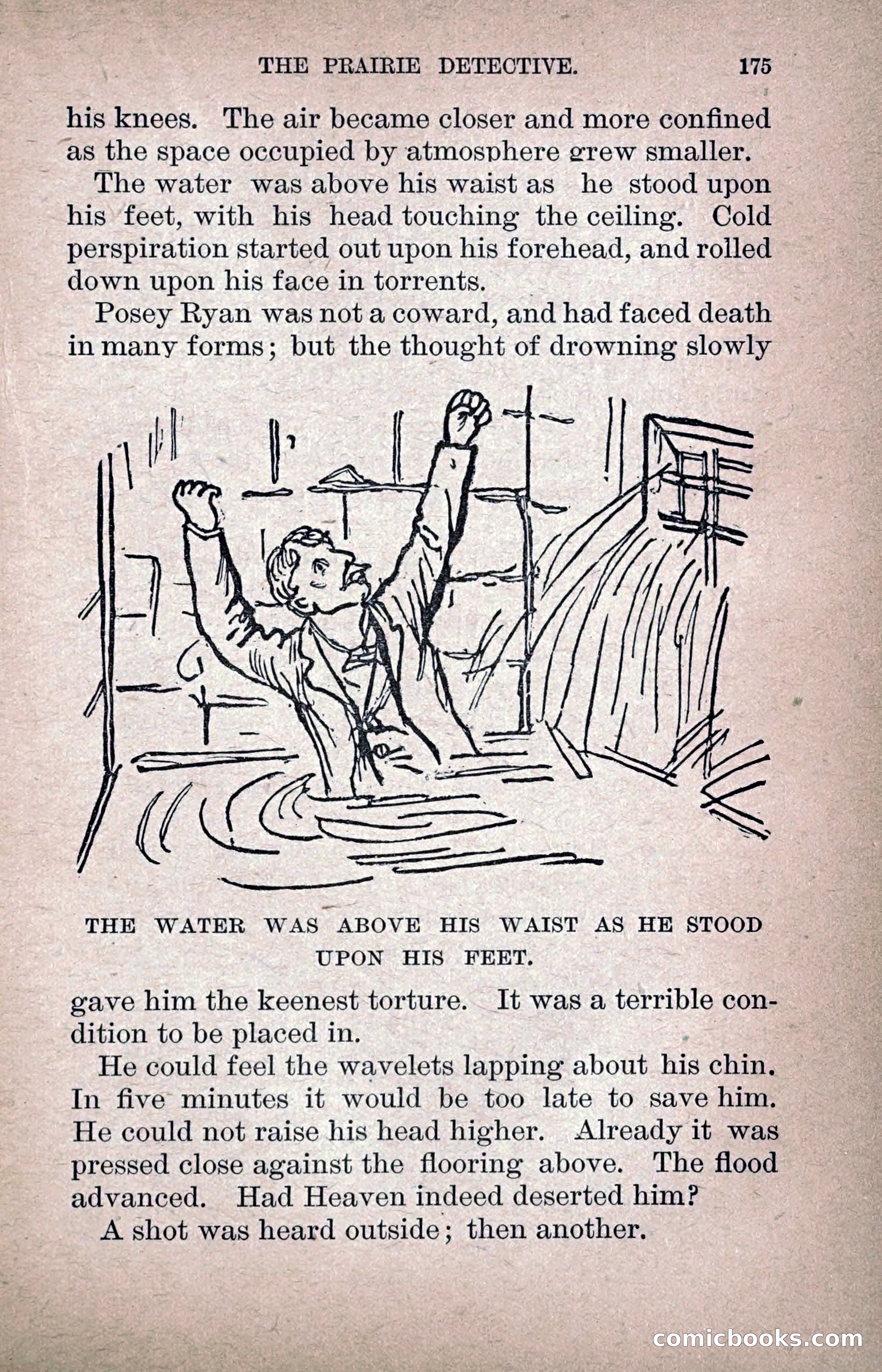 The Prairie Detective — page 184 of 217