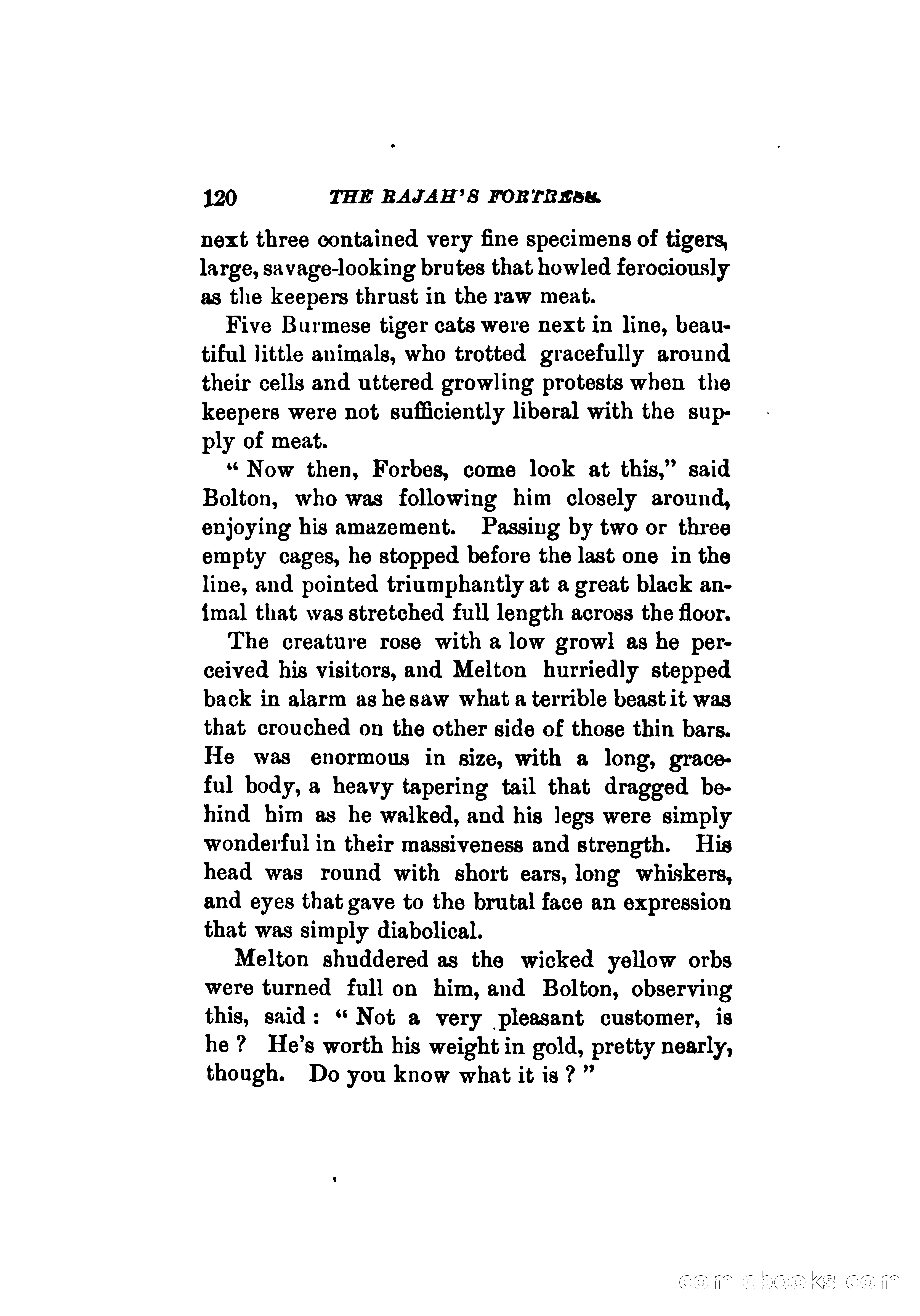 The Rajah's Fortress — page 129 of 337