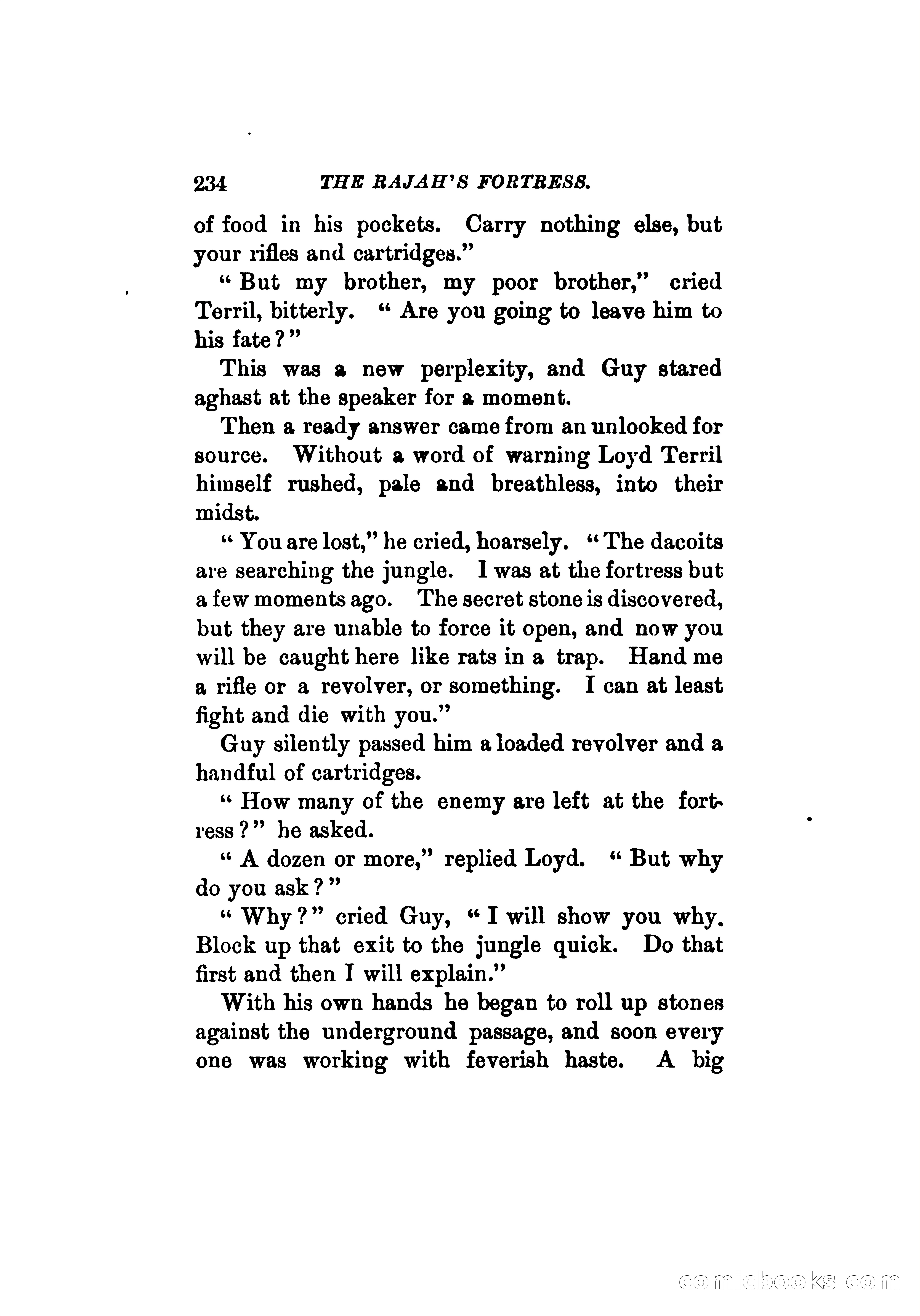 The Rajah's Fortress — page 247 of 337