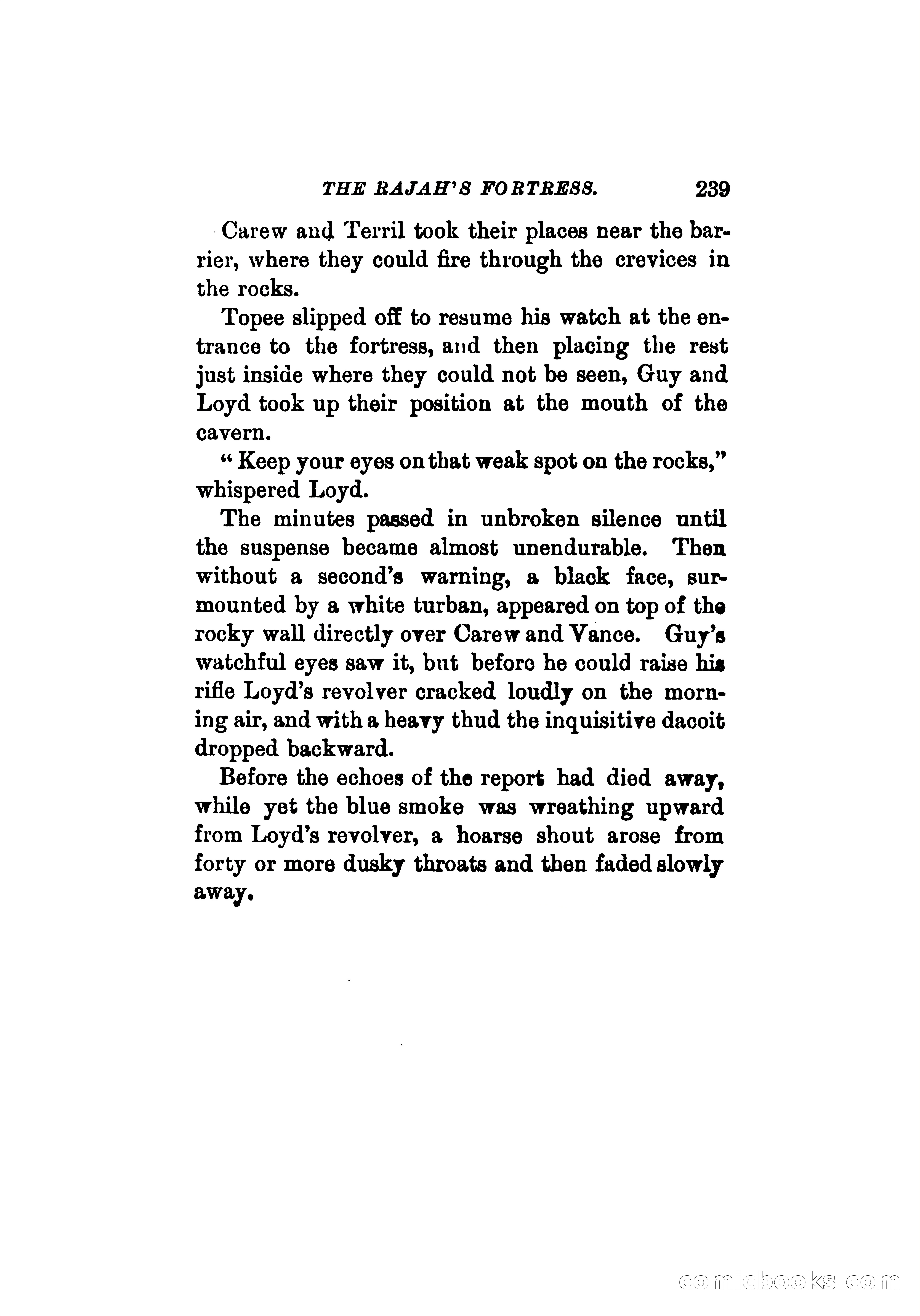 The Rajah's Fortress — page 252 of 337