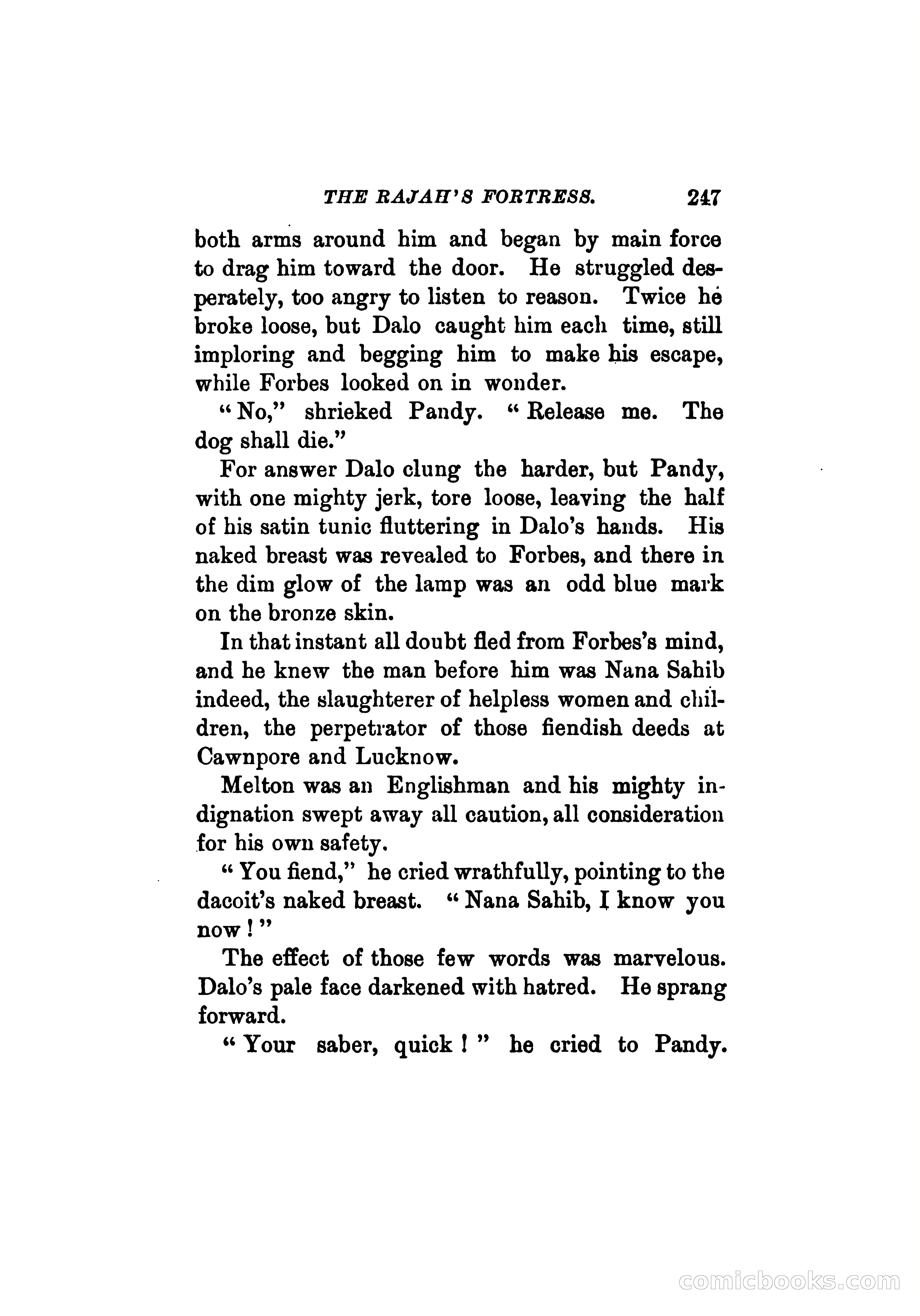 The Rajah's Fortress — page 260 of 337