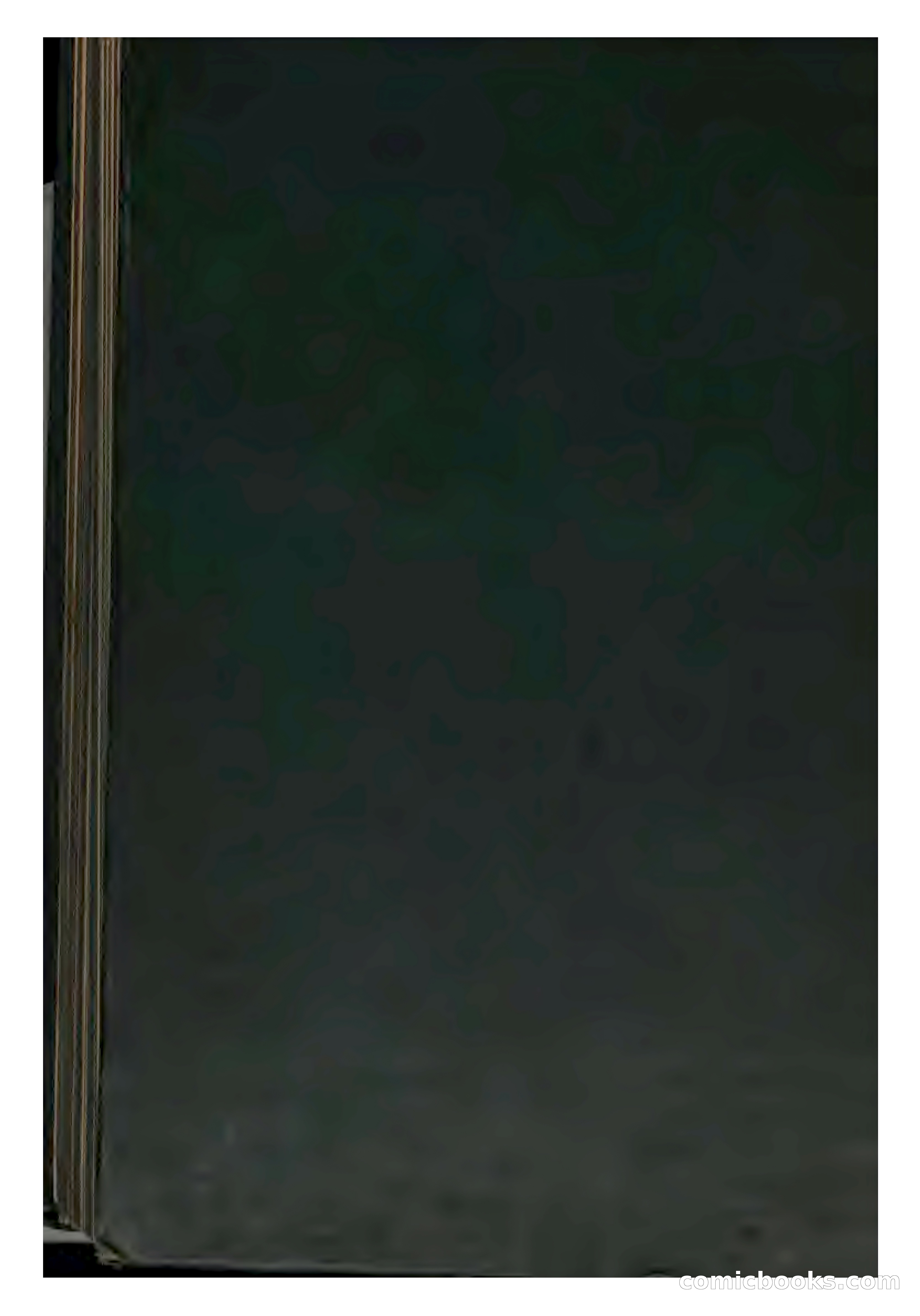 The Rajah's Fortress — page 337 of 337